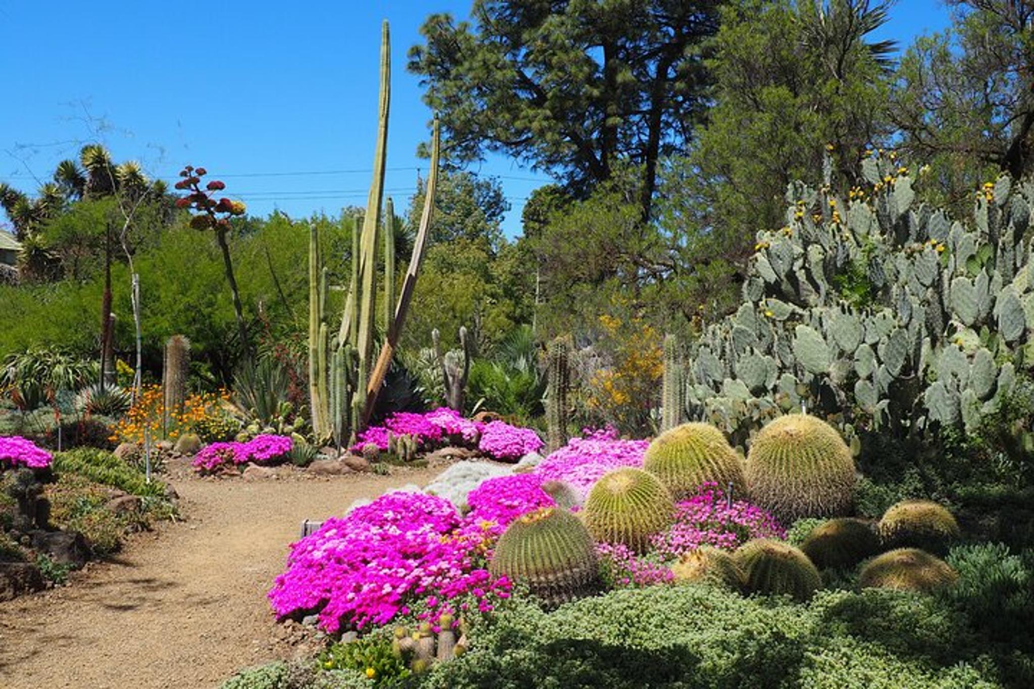 Walnut Creek Botanical Garden Admission - Image 2