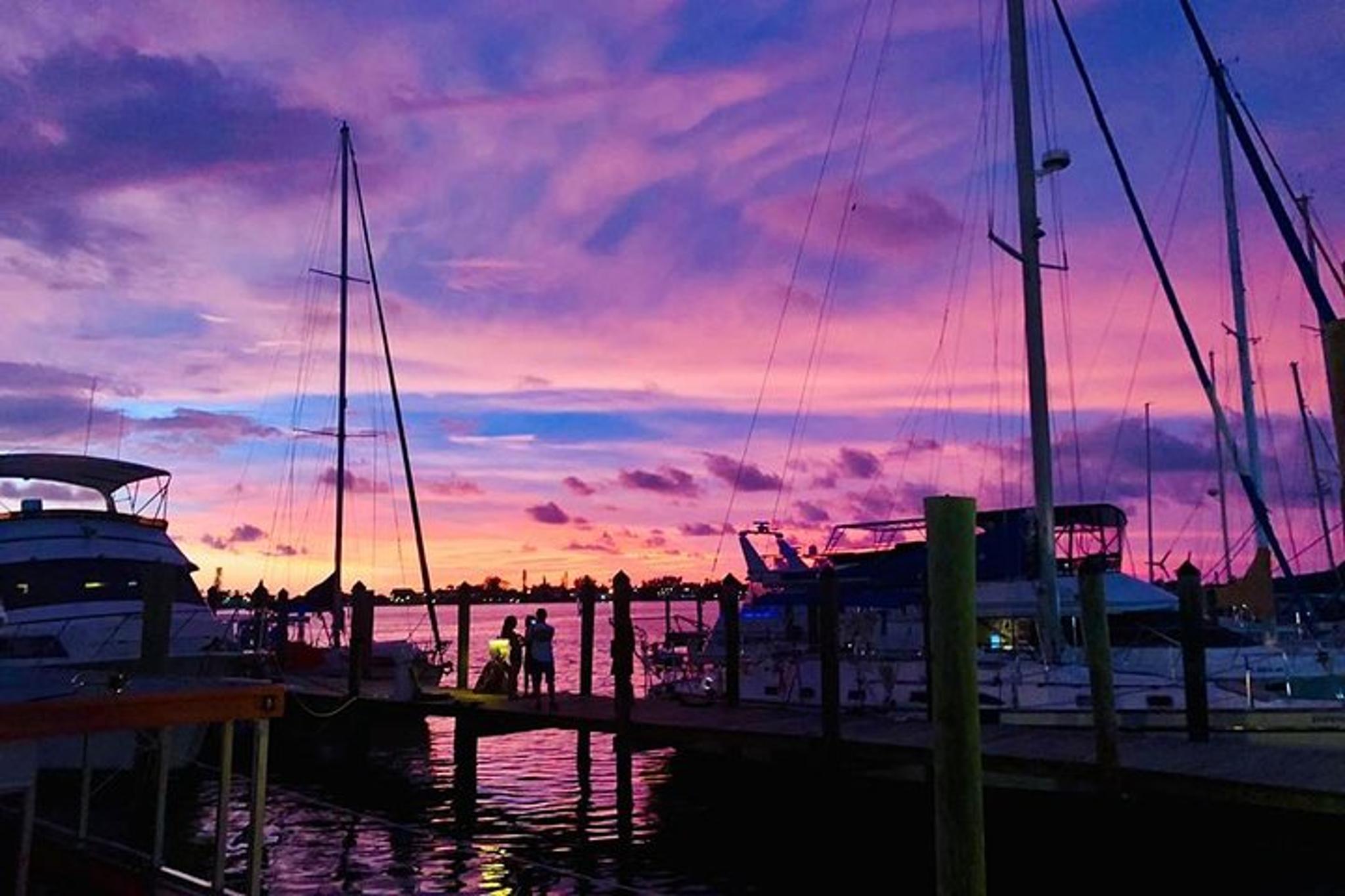Anna Maria Island Dolphin Boat Tour at Sunset