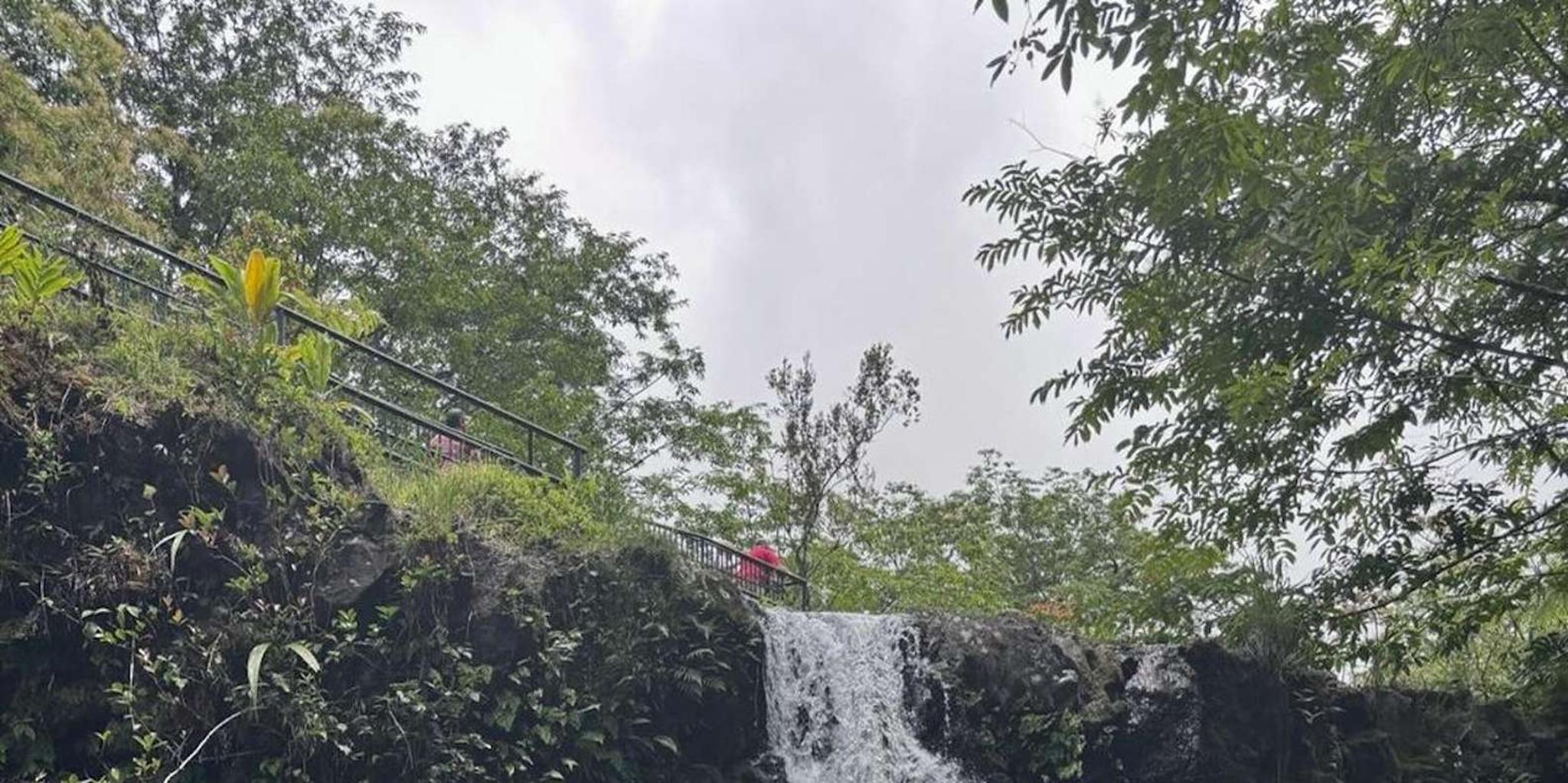 Maui Sea Turtles and Waterfalls Road to Hana Tour - Image 6