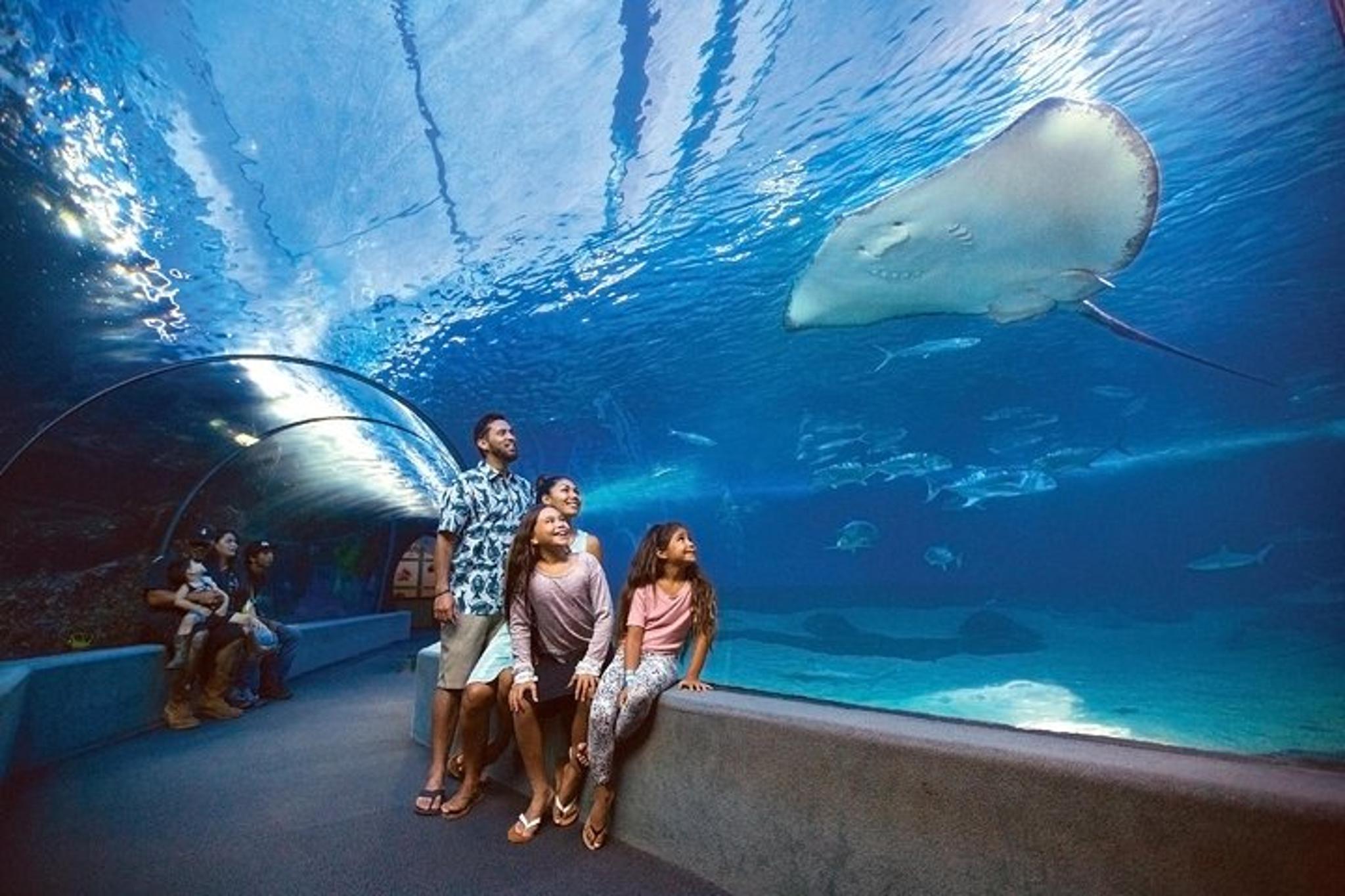 Maui Ocean Center Admission Ticket - Image 3