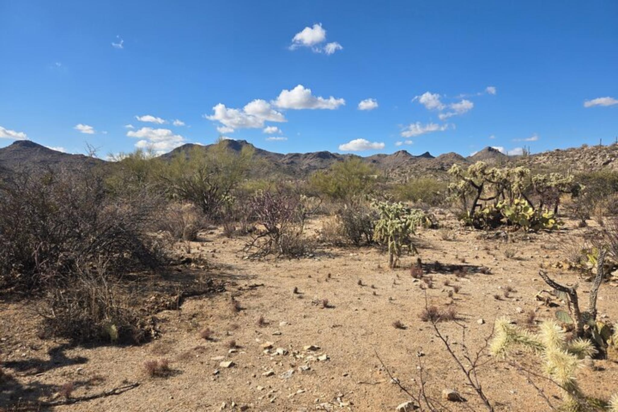 Dove Mountain Hiking Tour - Image 4
