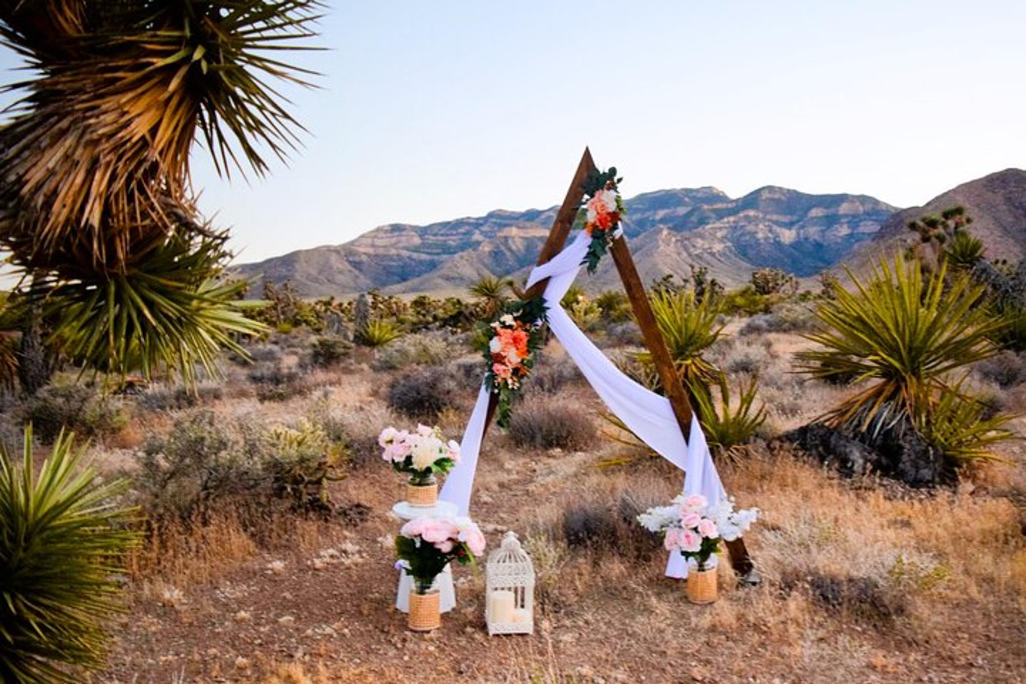 Las Vegas Scenic Wedding Ceremony - Image 1