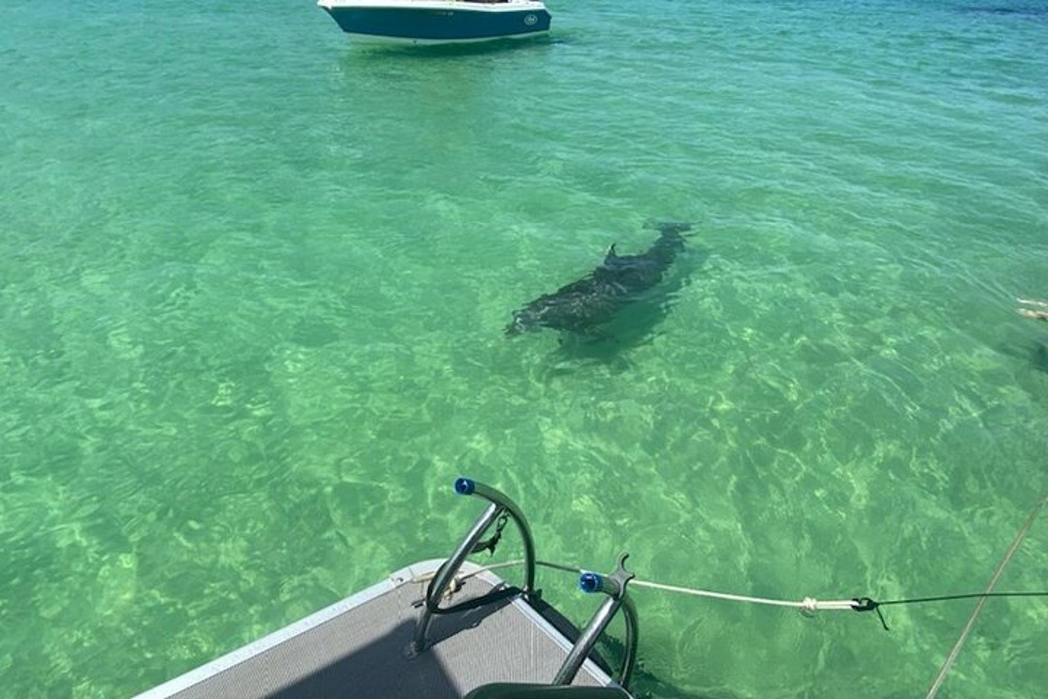 Crab Island Pontoon Party with Paddleboard - Image 3