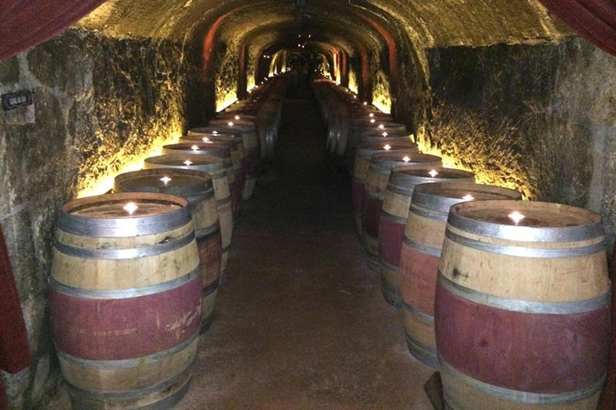 San Francisco Wine Tour to Napa - Image 4