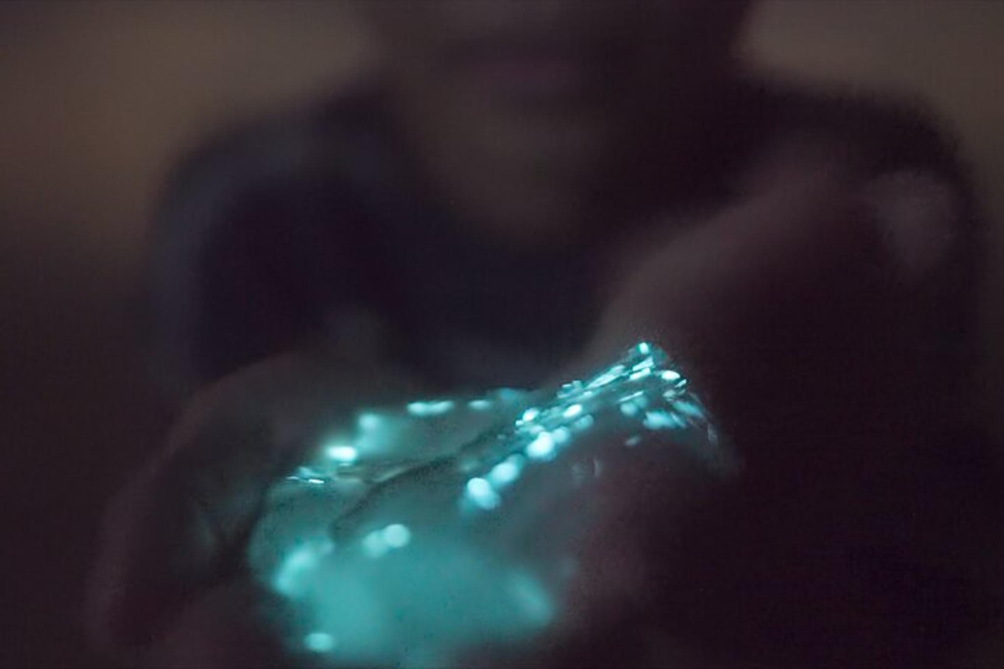 Titusville Bioluminescence Kayak Tour - Image 2