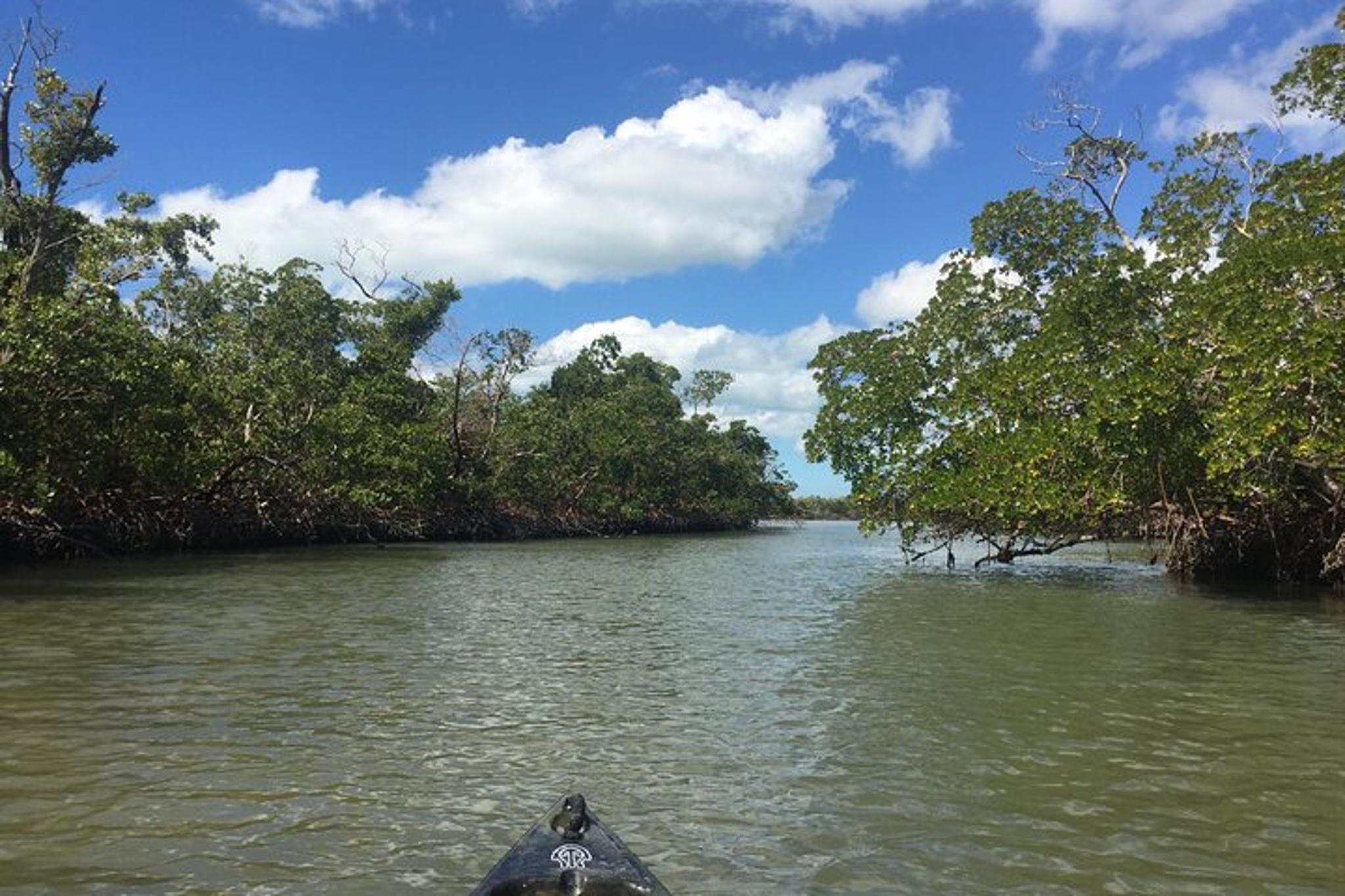 Marco Island Mangrove Tunnel Kayak Adventure - Image 6