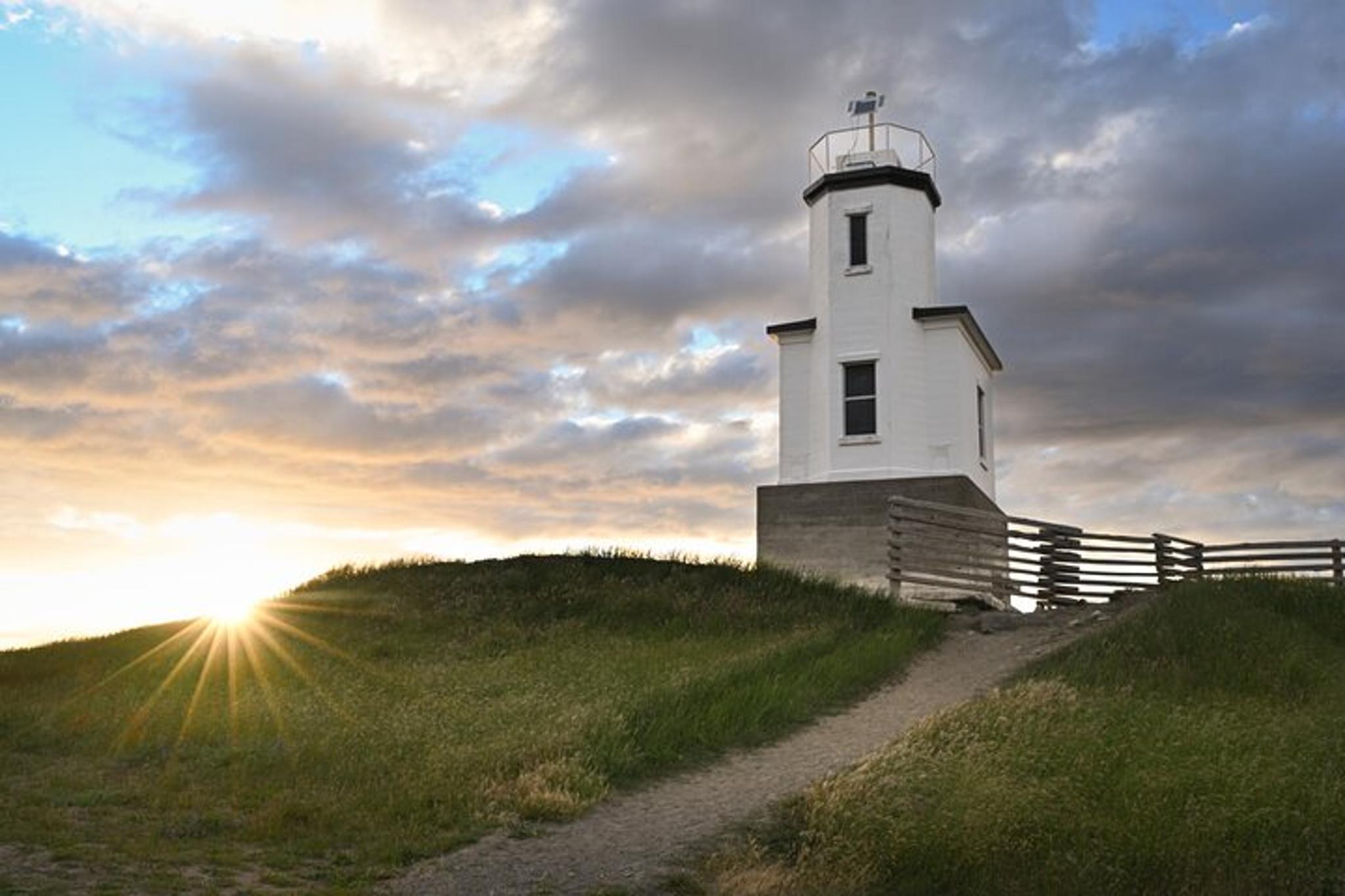 San Juan Islands Wildlife and Coast Tour - Image 5