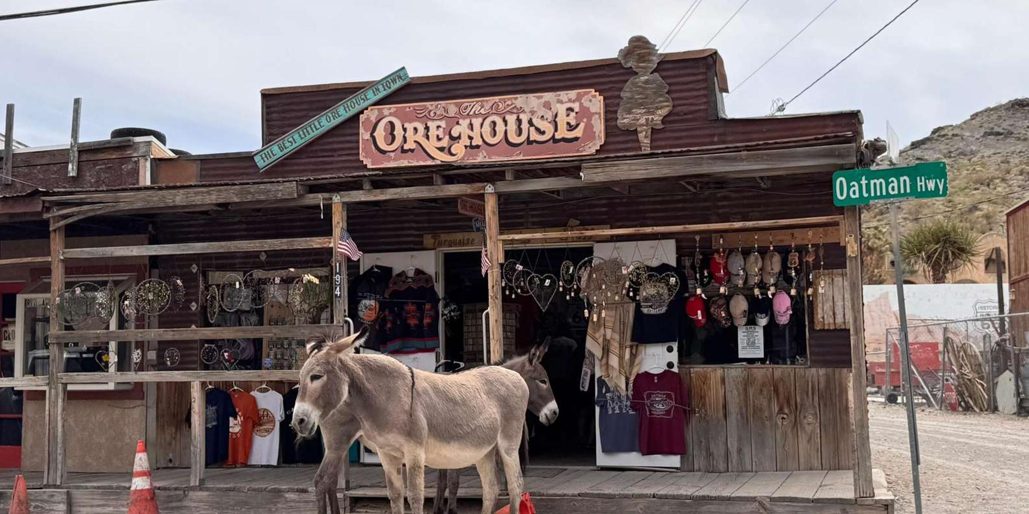Las Vegas Route 66 Day Tour: Oatman & Kingman - Image 3