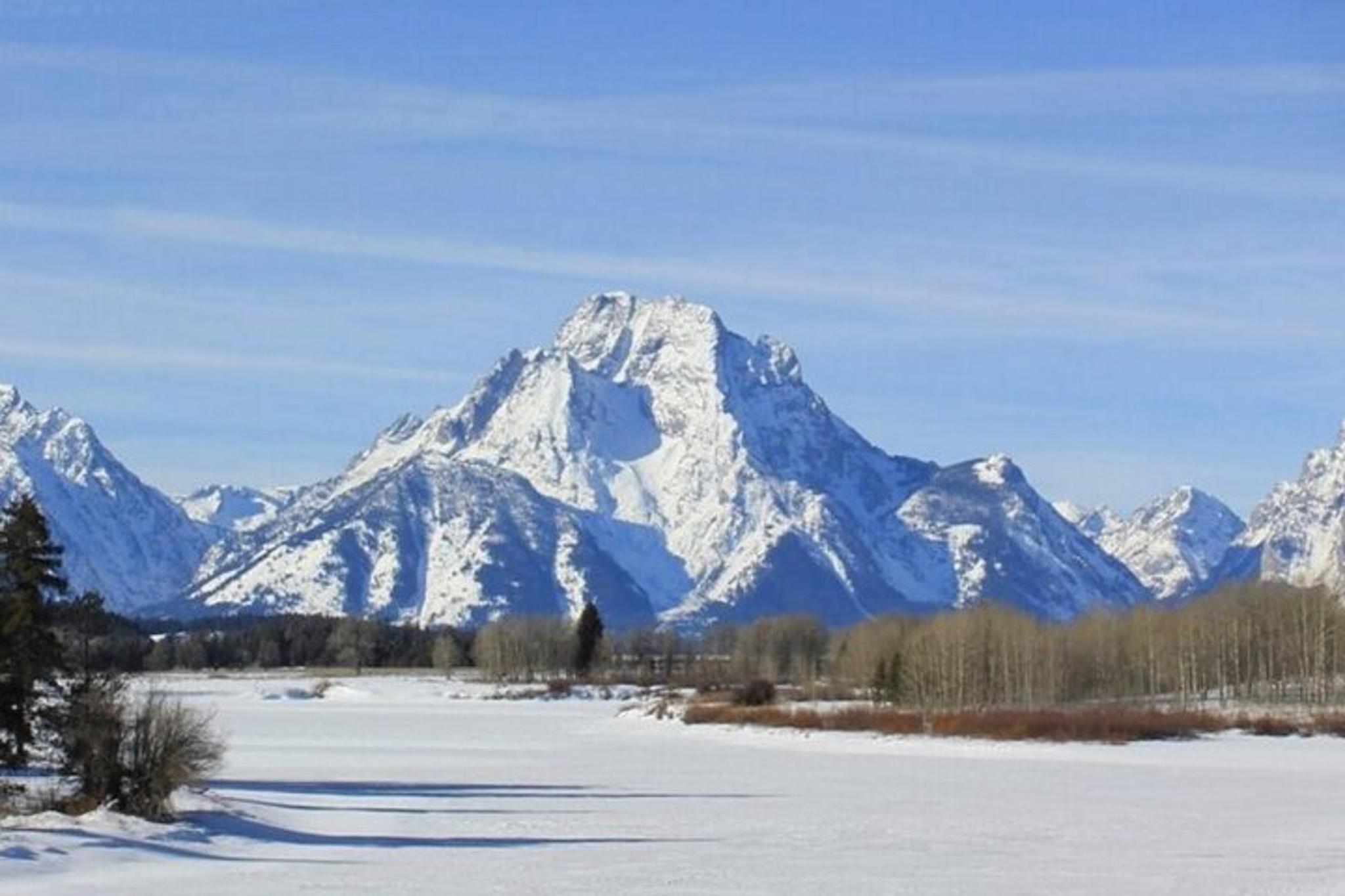 Jackson Hole Winter Wildlife Tour - Image 2
