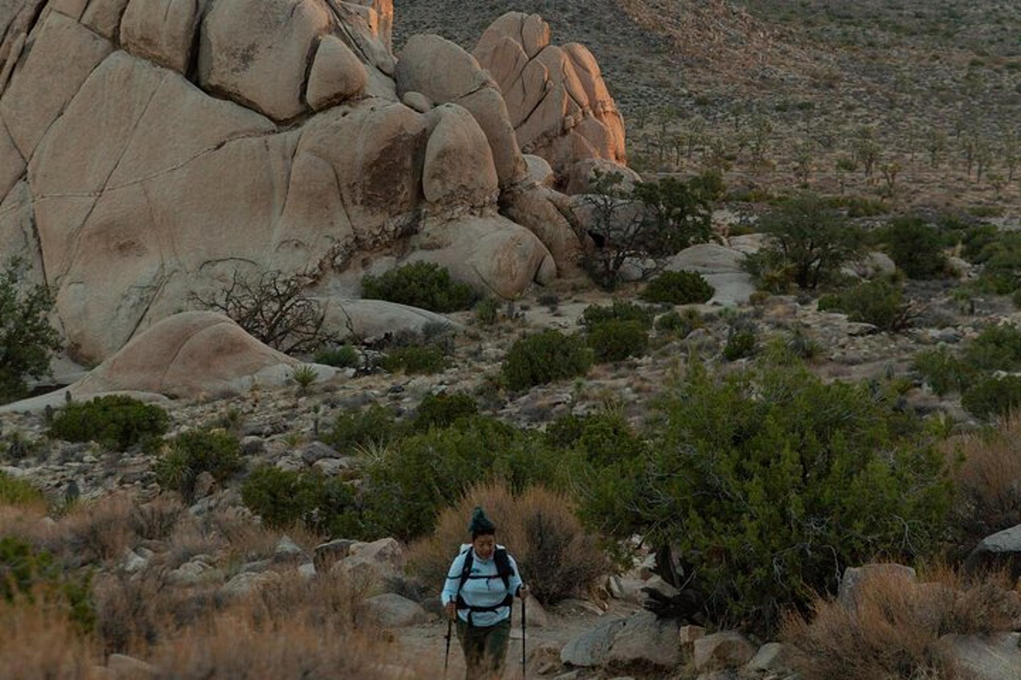 Joshua Tree Sunset Stargazing Hike - Image 5