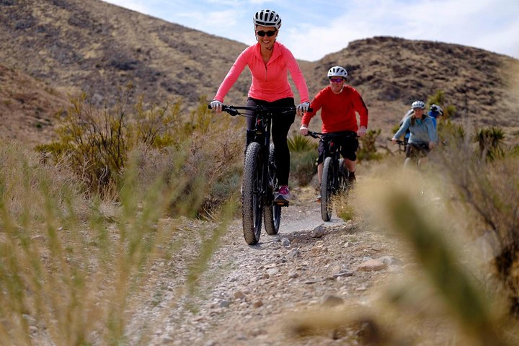 Las Vegas Mountain Bike Tour in Red Rock Canyon - Image 3