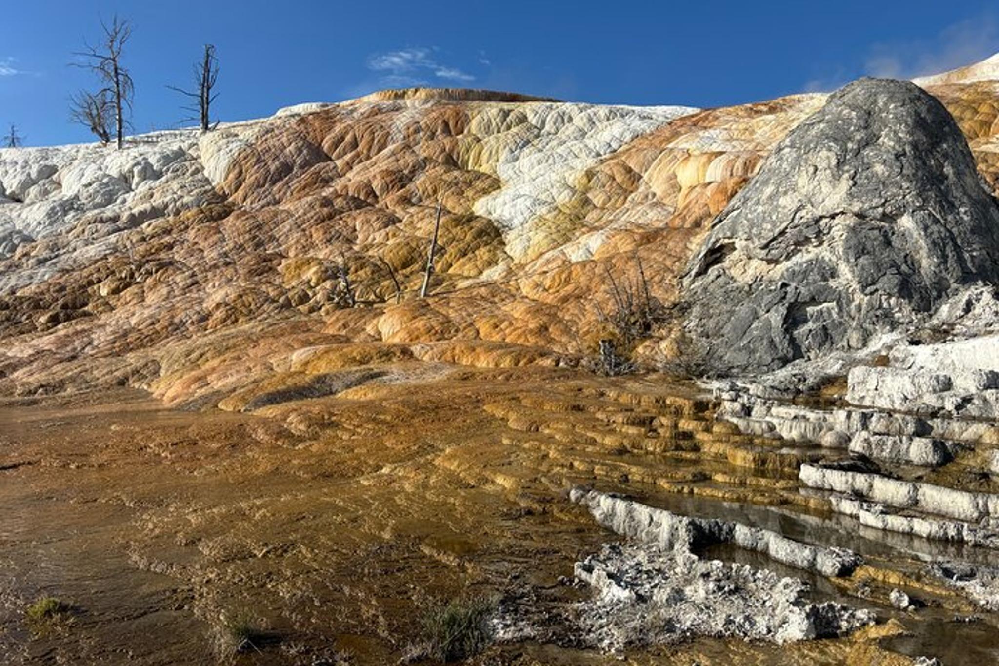 Big Sky Yellowstone Park Private Day Trip - Image 1