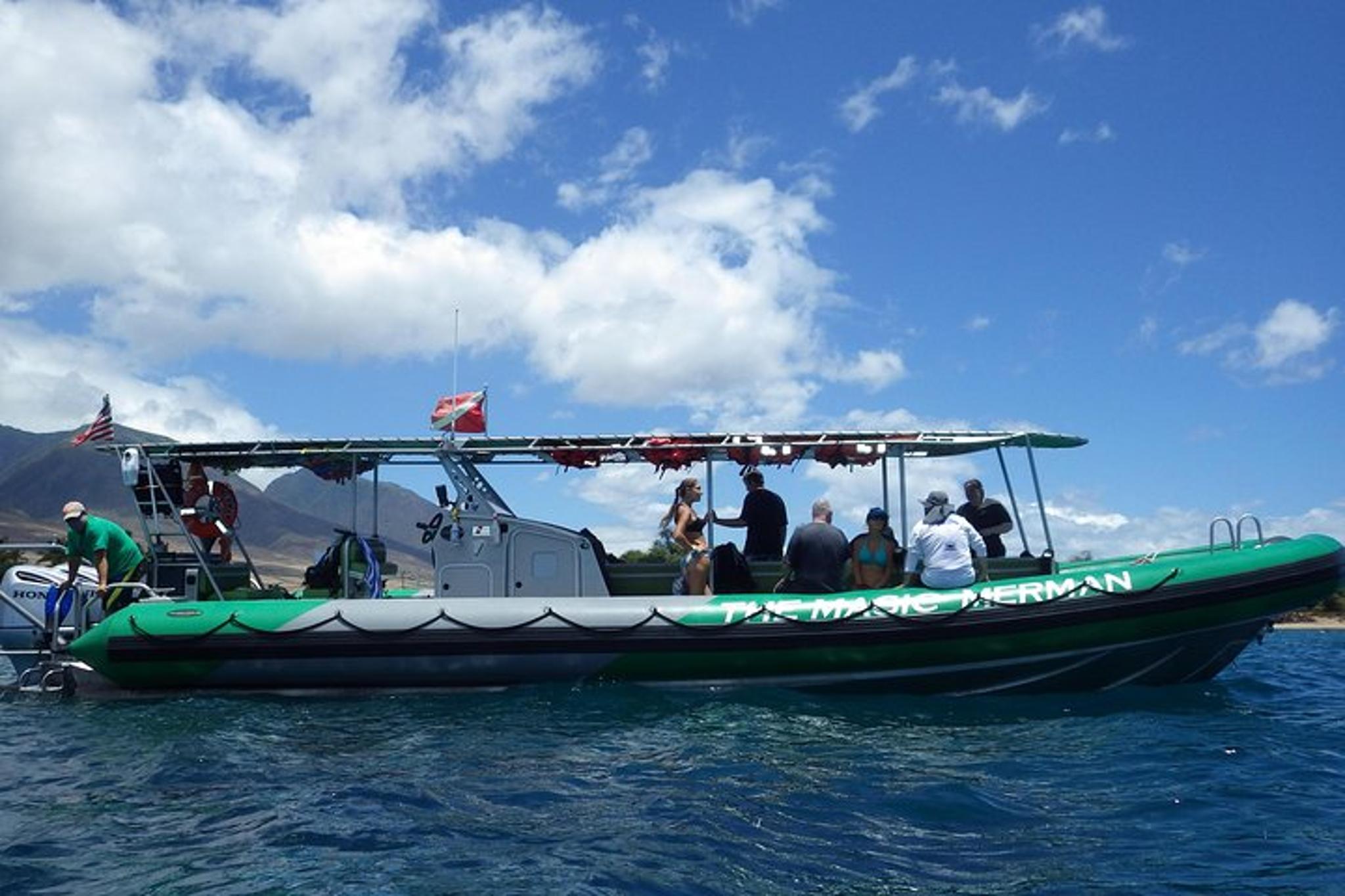 Ka'anapali Whale Watching Boat Tour - Image 6