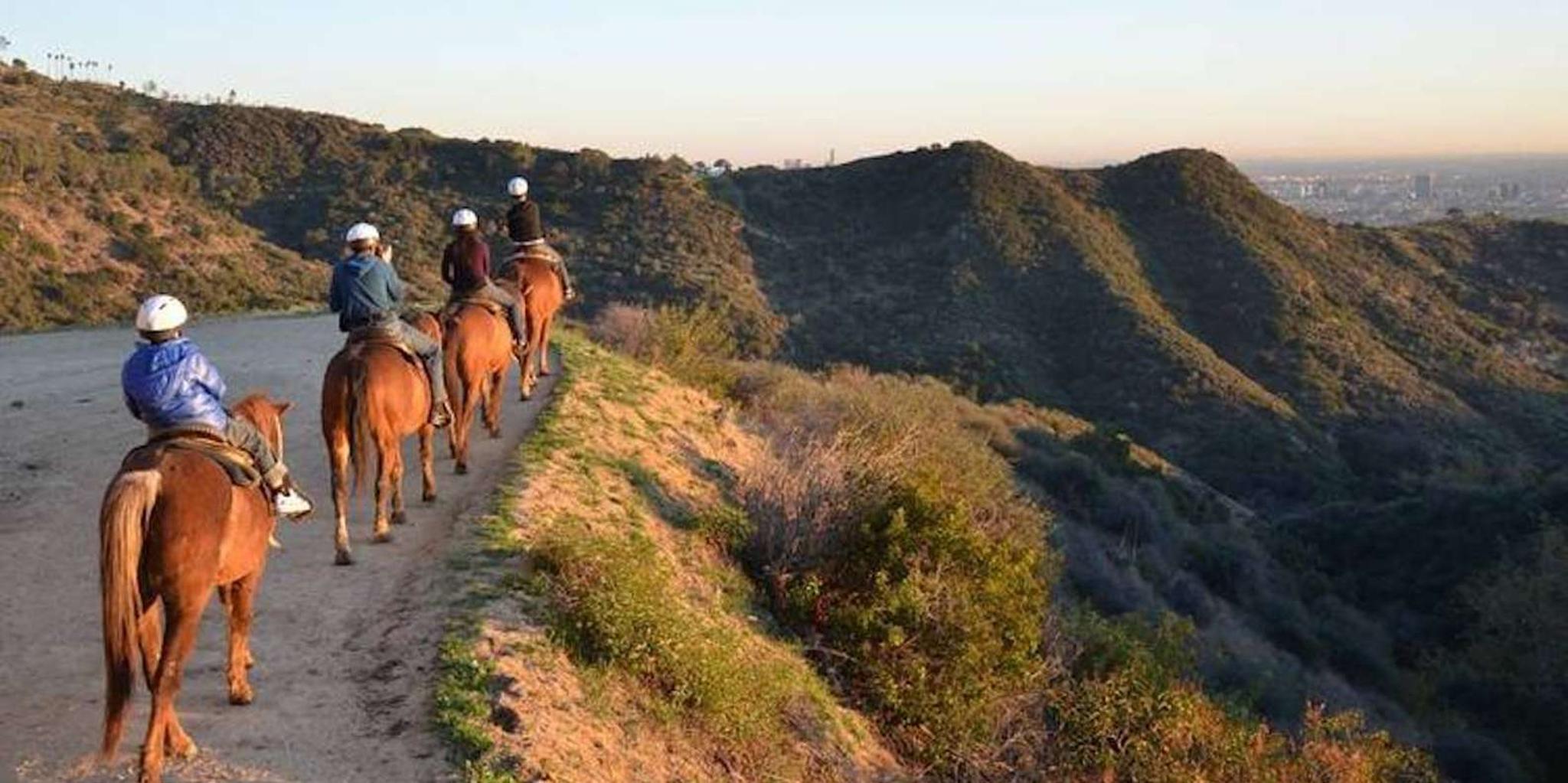 Los Angeles Horseback Riding Tour in Griffith Park - Image 3