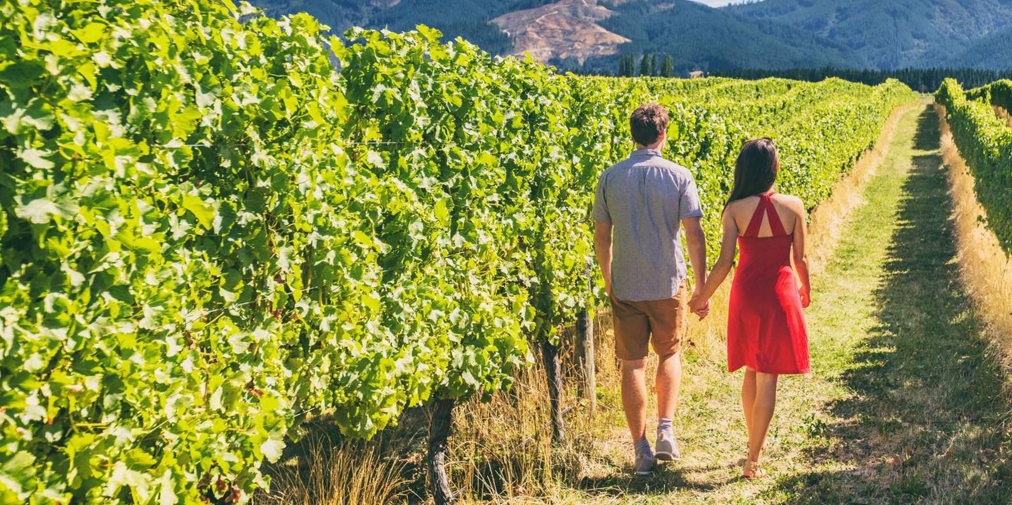 Santa Barbara Horseback Riding and Wine Tasting Tour - Image 3