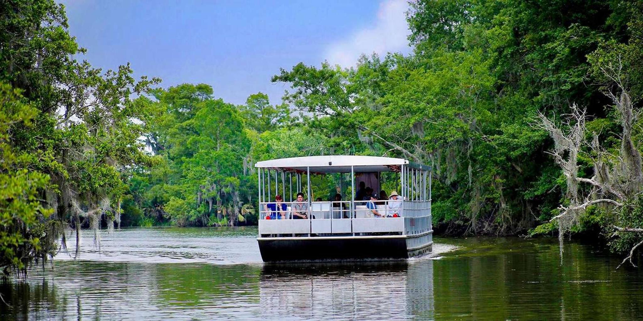New Orleans Swamp and Bayou Alligator Tour - Image 5