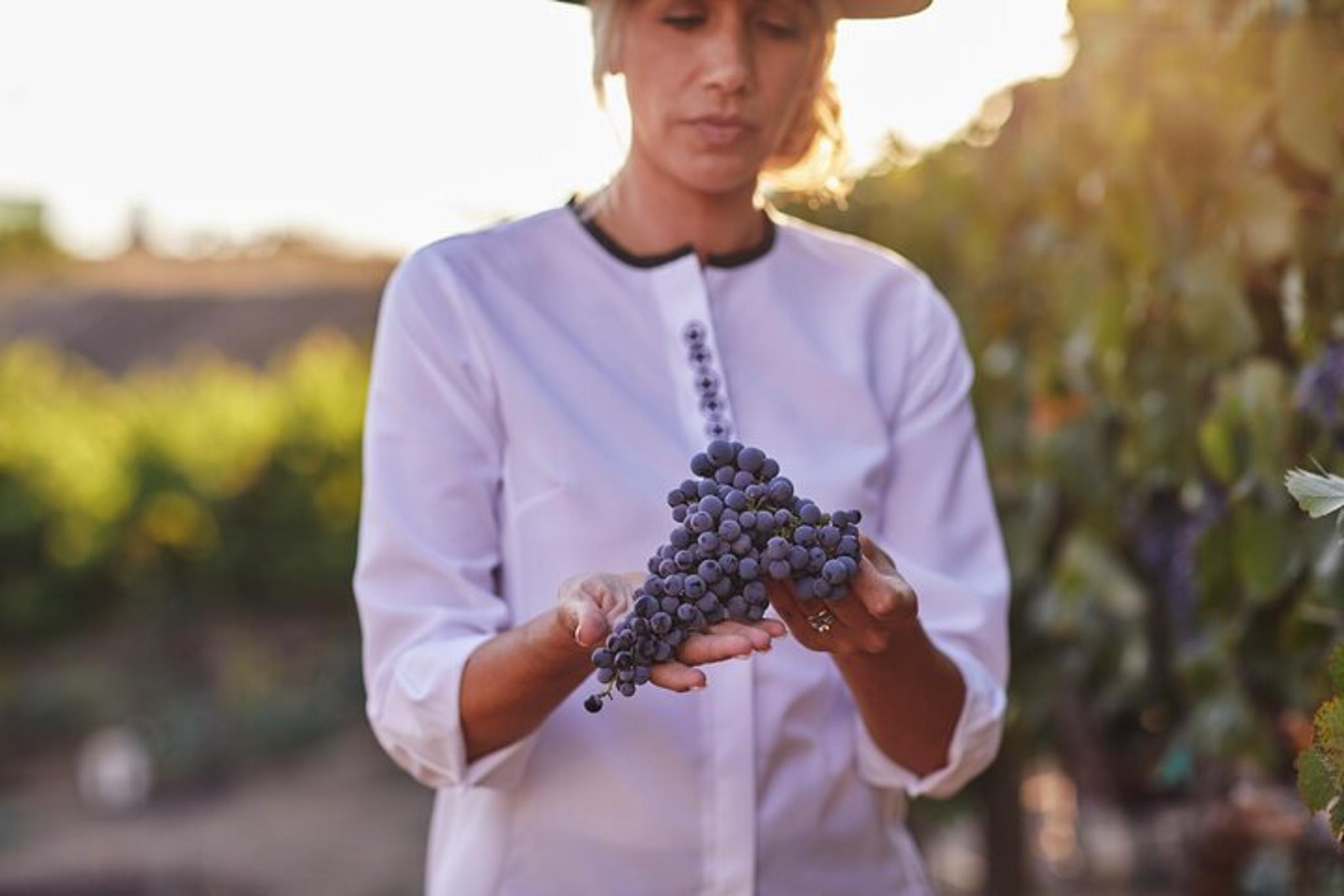 Temecula Wine Tour with Tastings and Food Pairings - Image 6