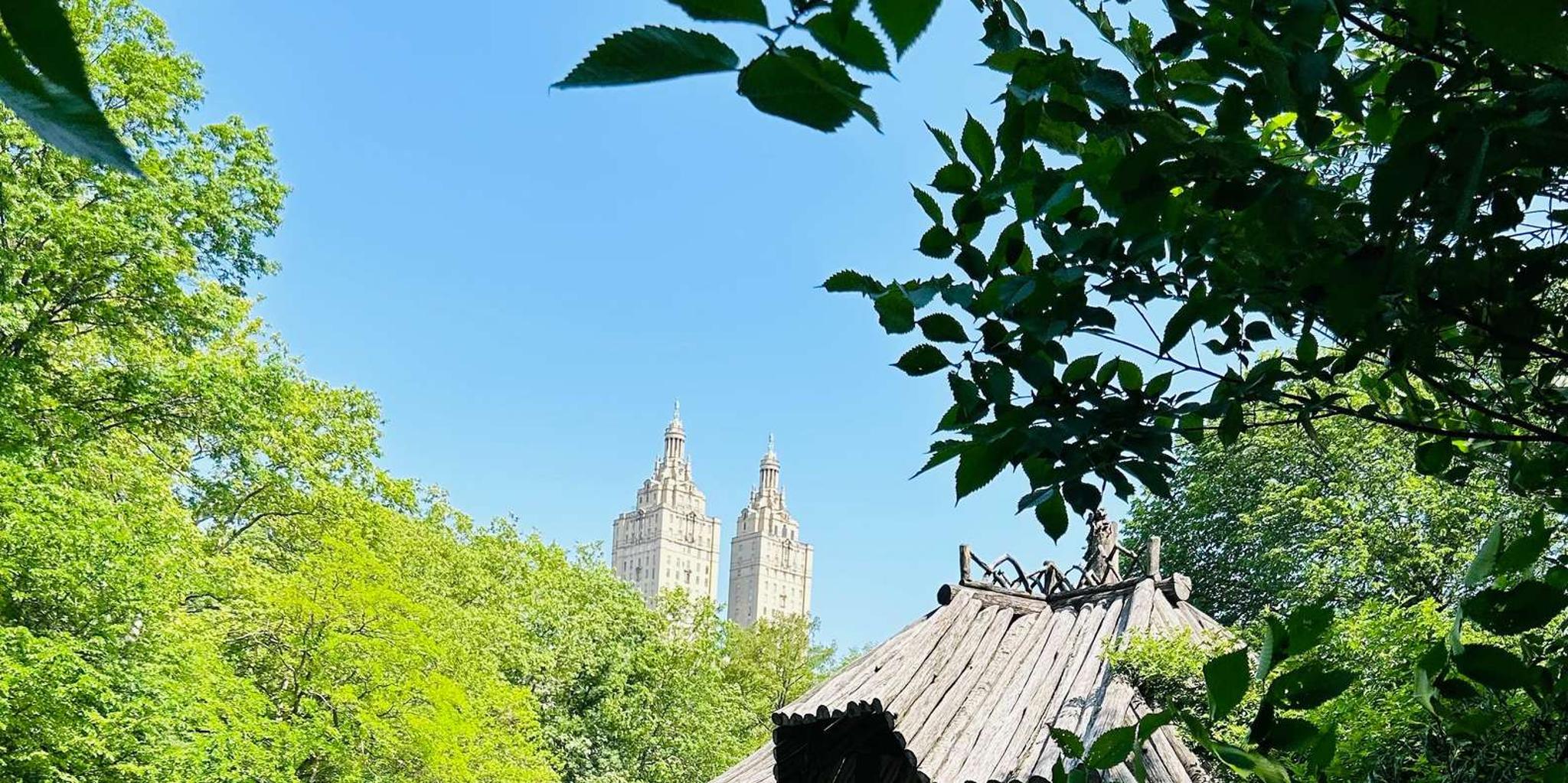 New York Central Park Walking Tour - Image 5