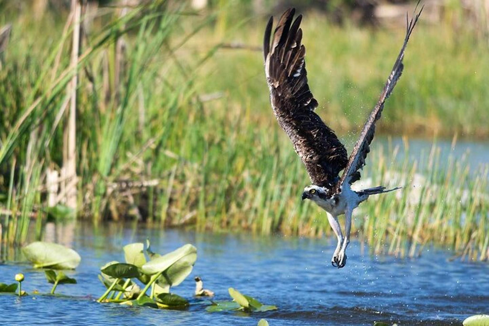 Everglades Kayak and Canoe Rental - Image 6