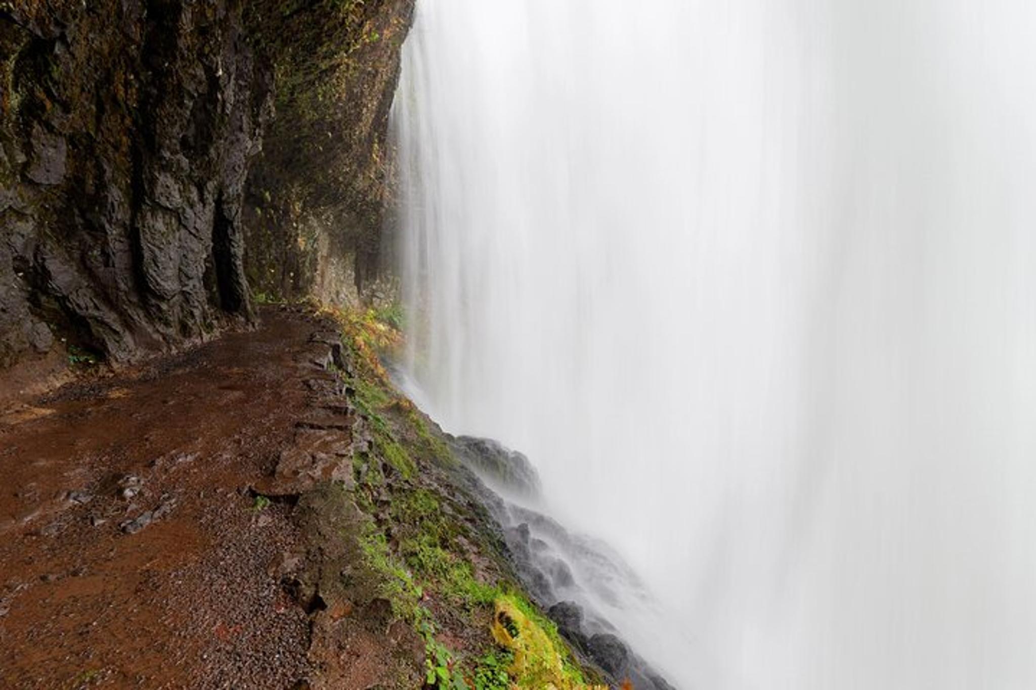 Silver Falls Private Hike Tour - Image 6
