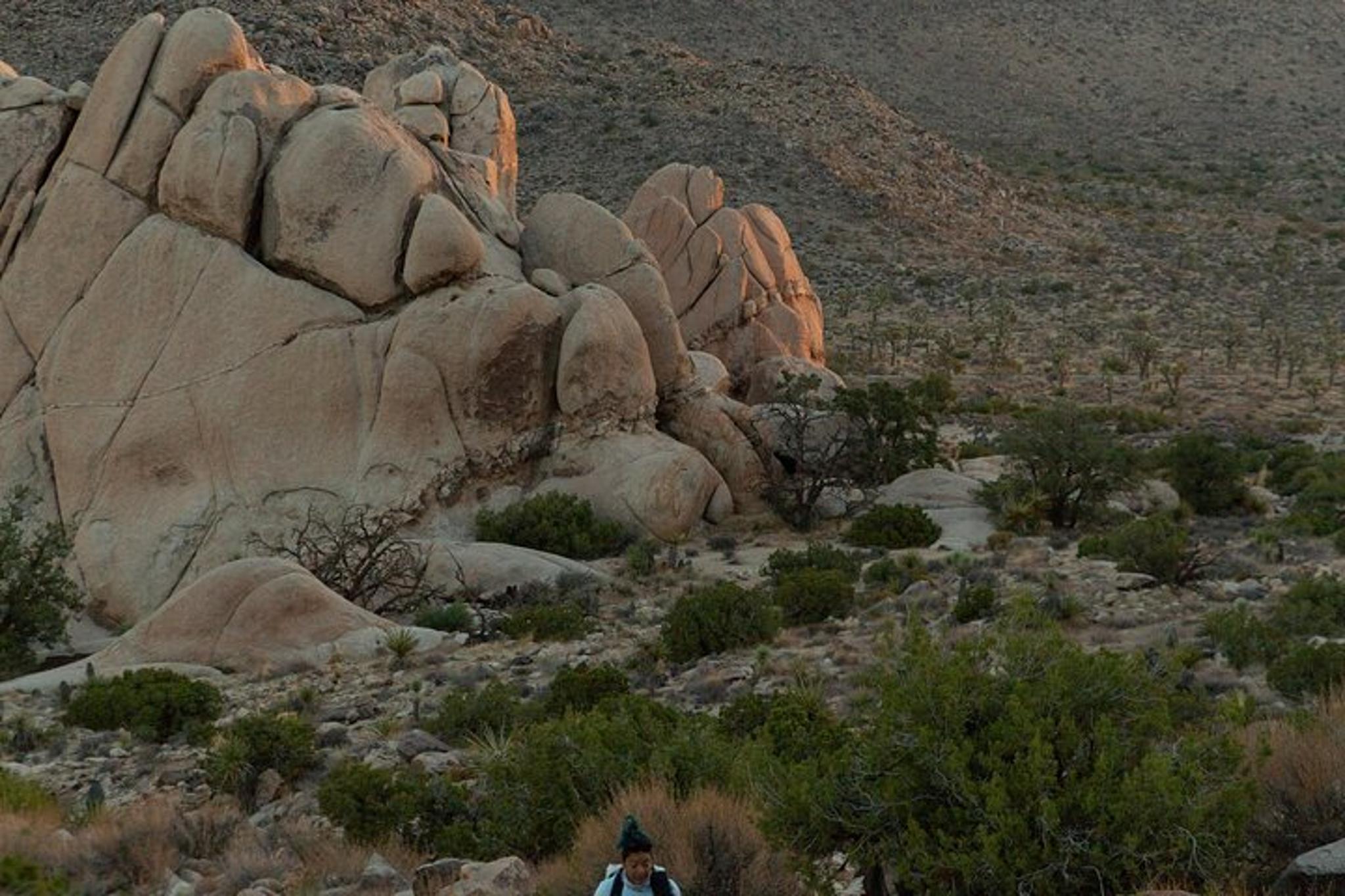 Joshua Tree Small Group Tour and Hike - Image 5