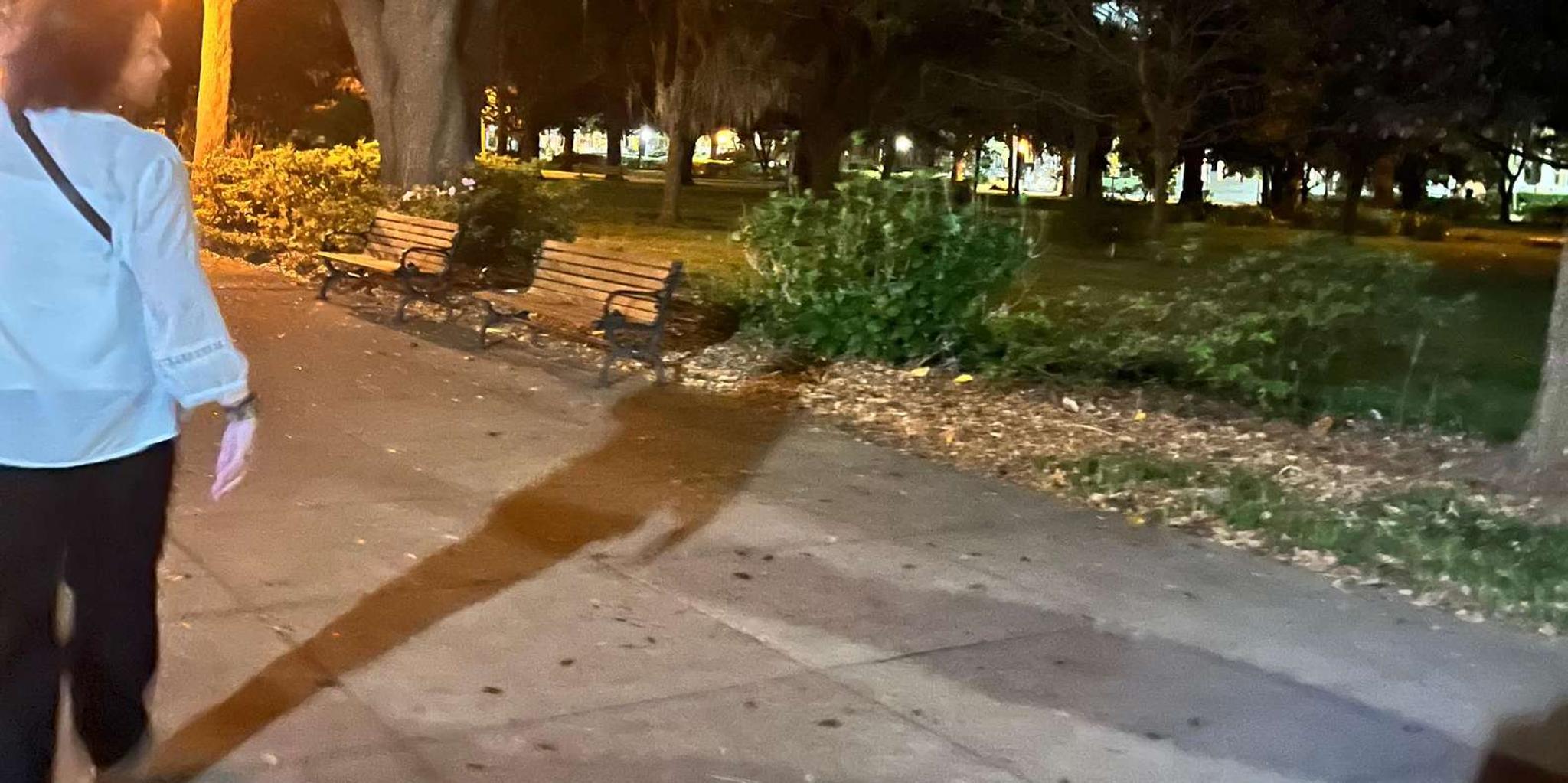 Woodstock Ghost Tour with Pub Crawl 2 hr - Image 4