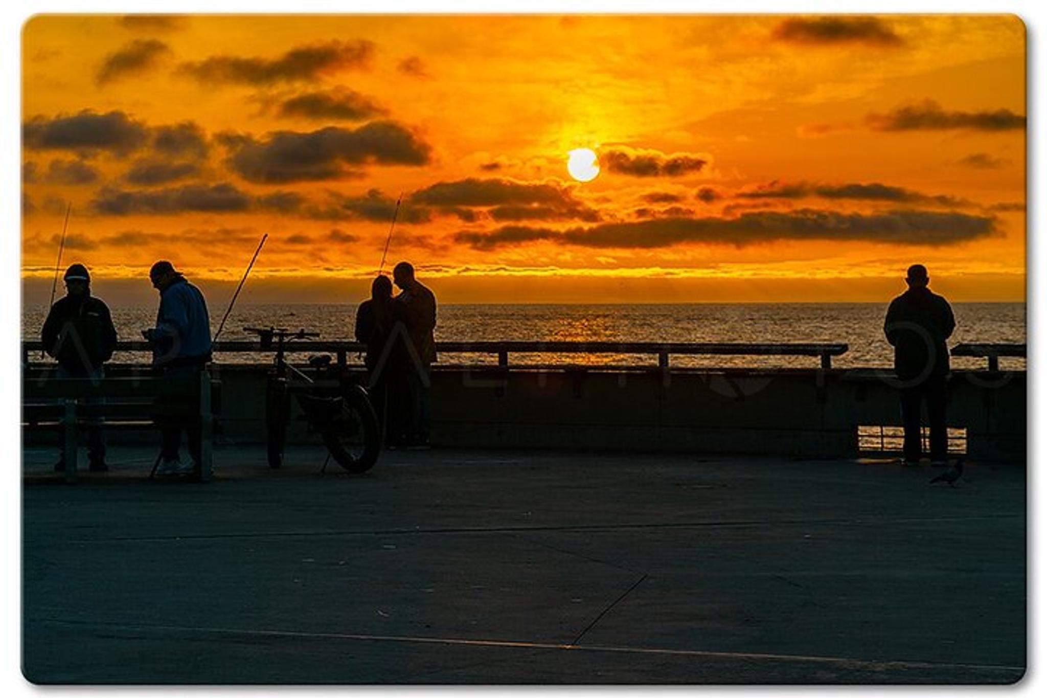 Venice Photographic Beach Walking Tour - Image 3