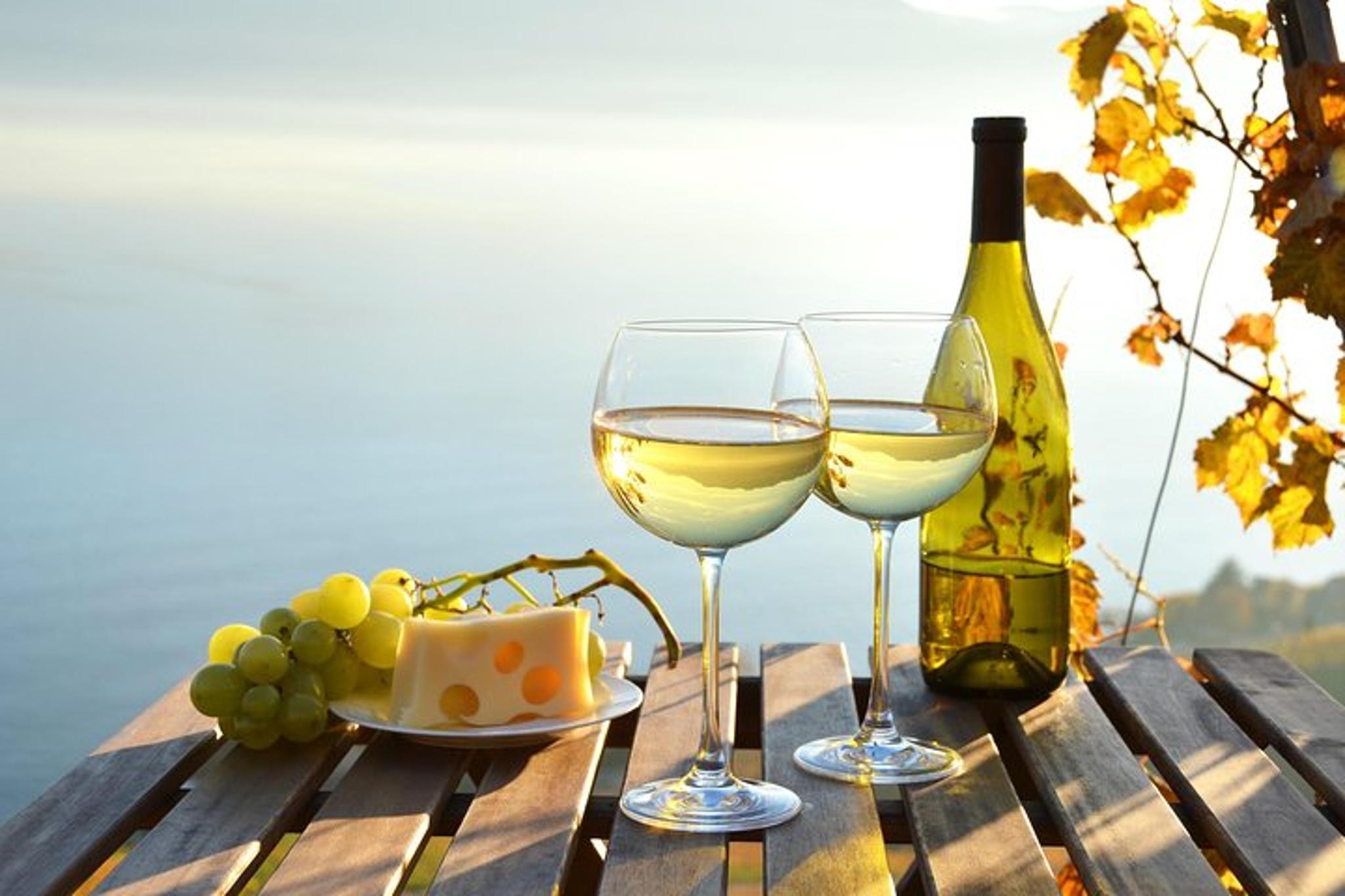 Hamptons and Long Island Wineries Private Tour