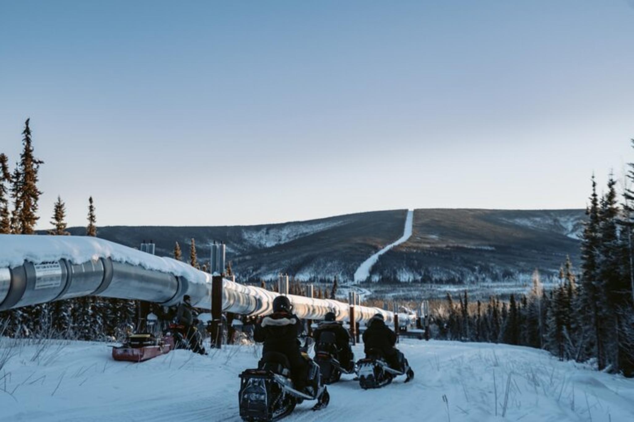 Fairbanks Snowmobile Adventure in Boreal Forest 1 hr