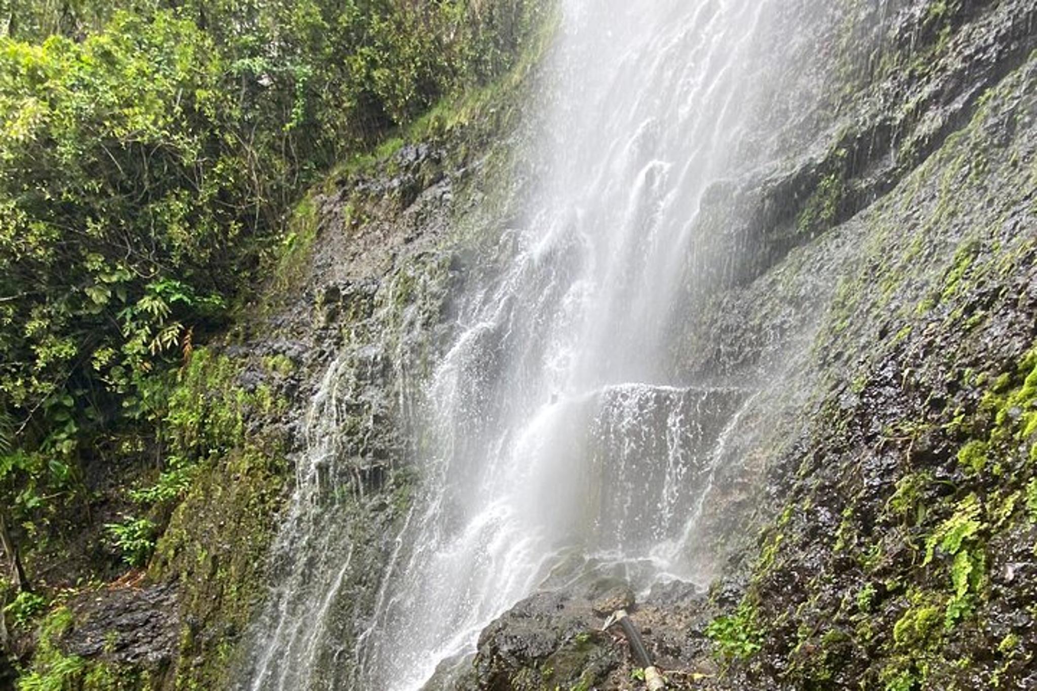 Maui Waterfall and Rainforest Adventure - Image 1