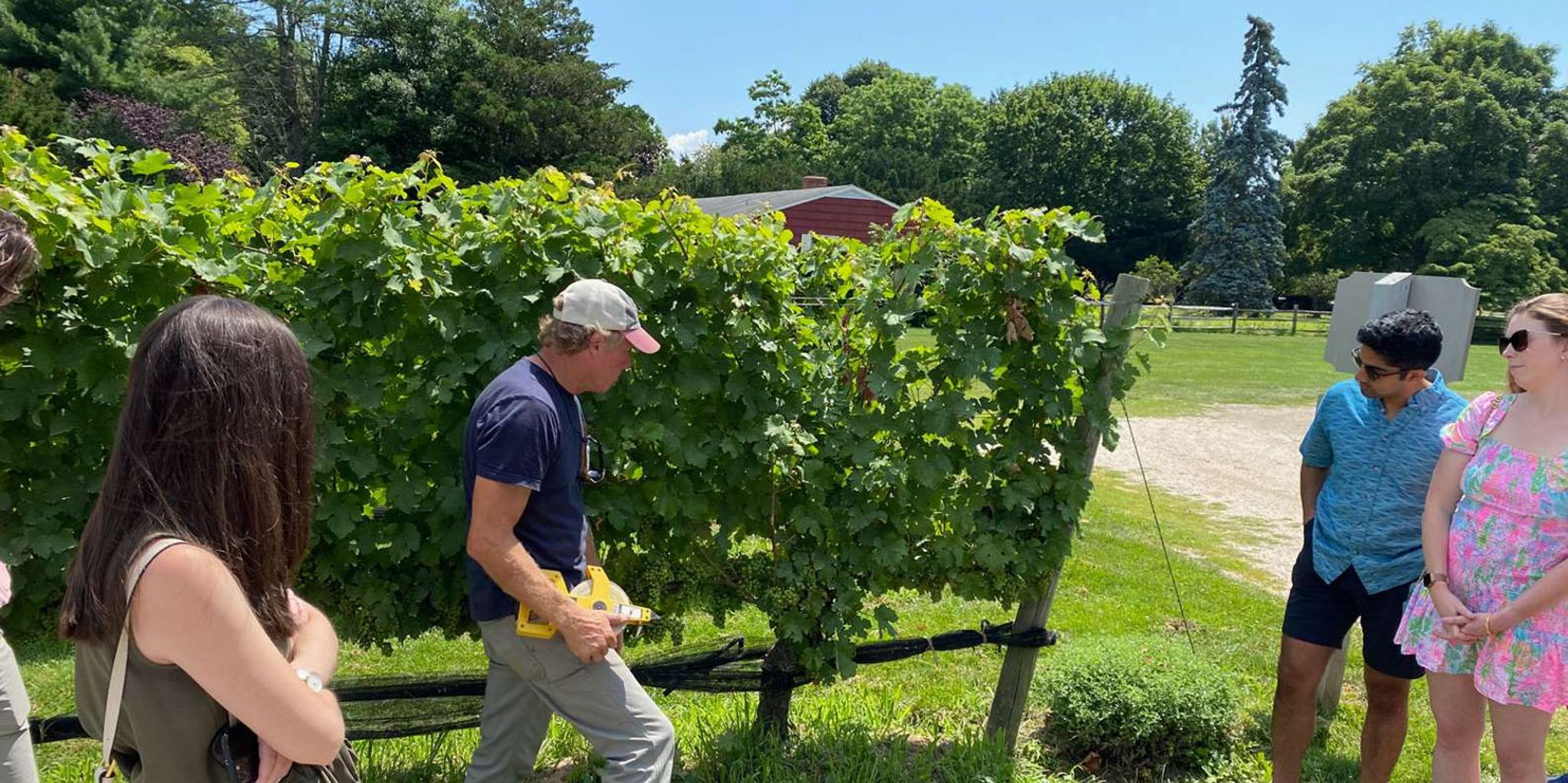 New York City Long Island Wine Tasting Tour - Image 4