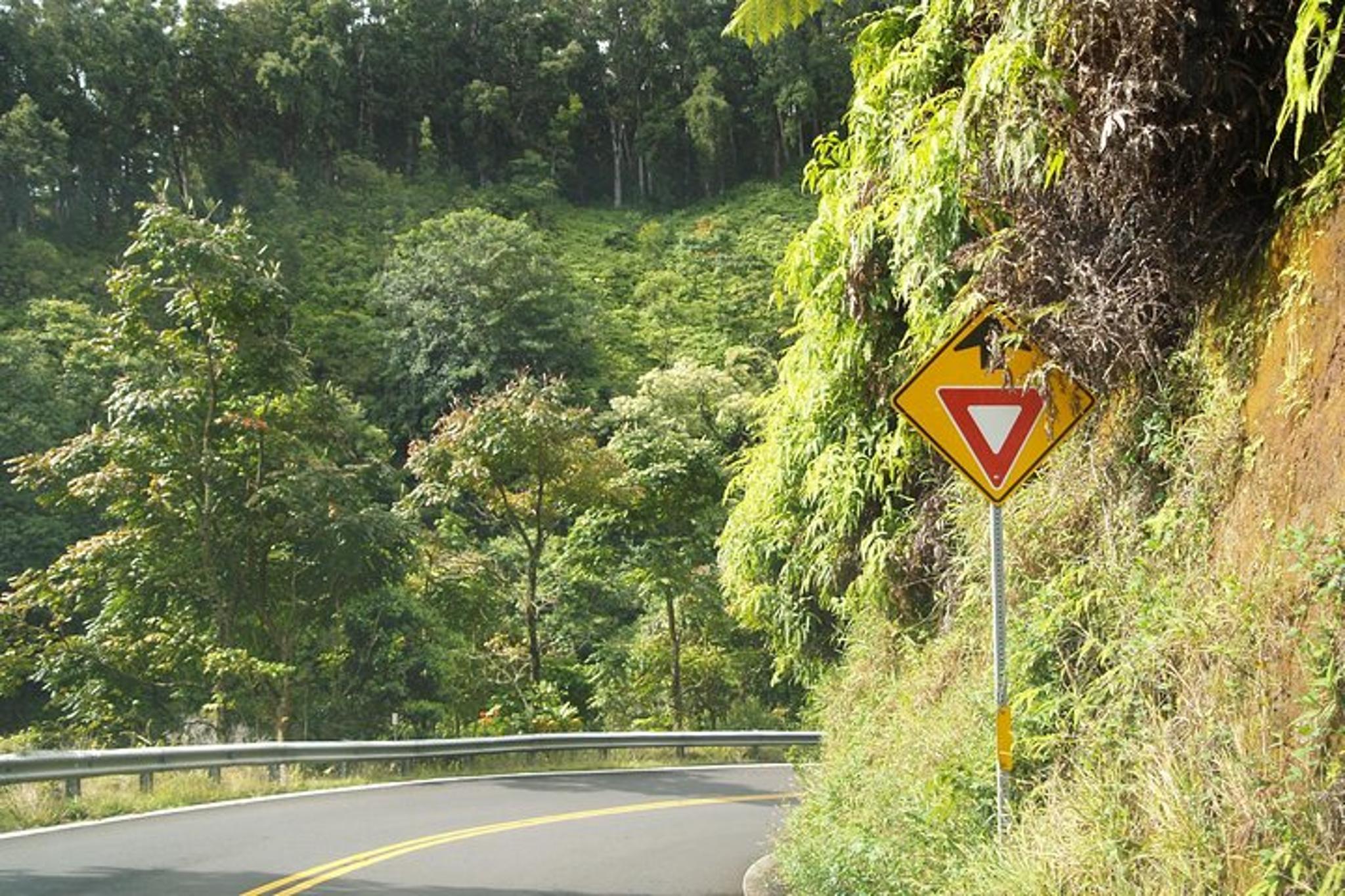 Maui Road to Hāna Tour - Image 3