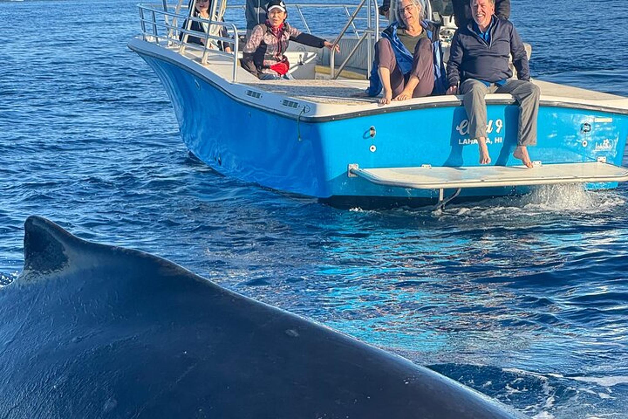 Kaanapali Beach Whale Watching Tour - Image 5