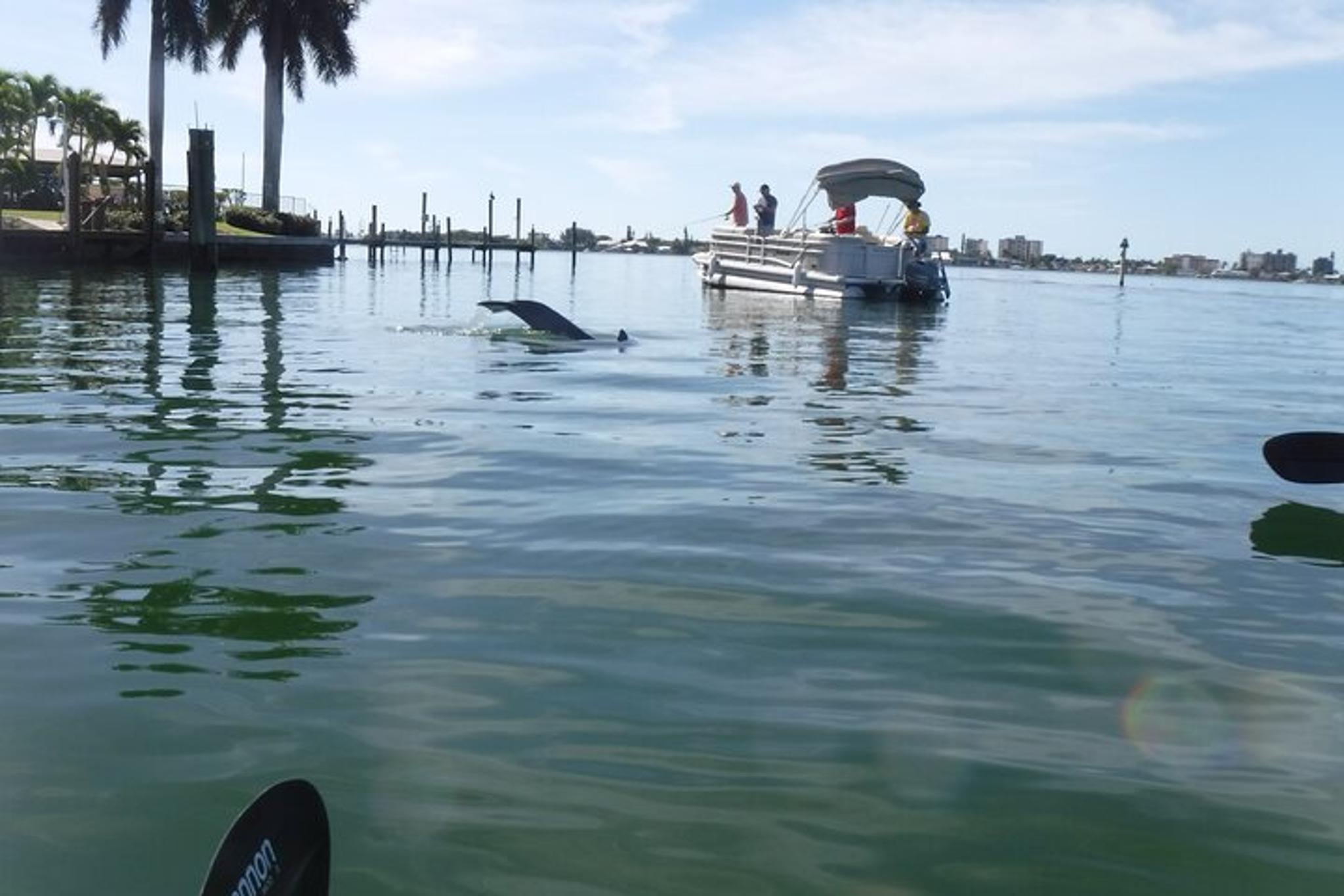 Fort Myers Beach Kayak Tour at Sunset - Image 5