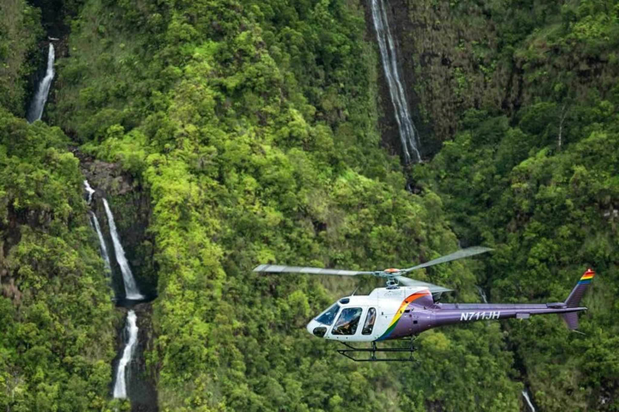 Kauai Helicopter Tour Doors-On 60 Min - Image 3