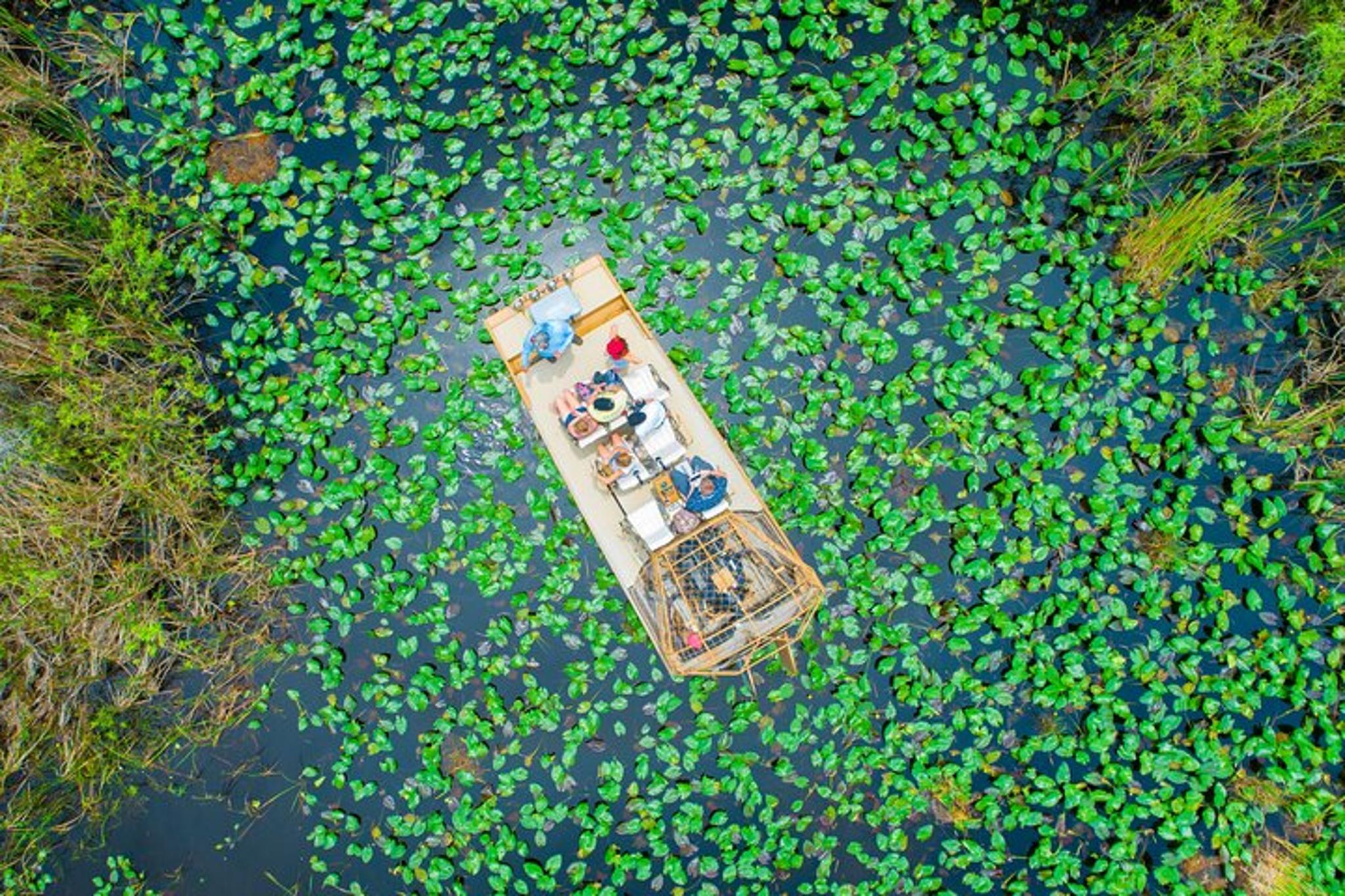 Miami Airboat Tour in the Everglades 1 hr - Image 3