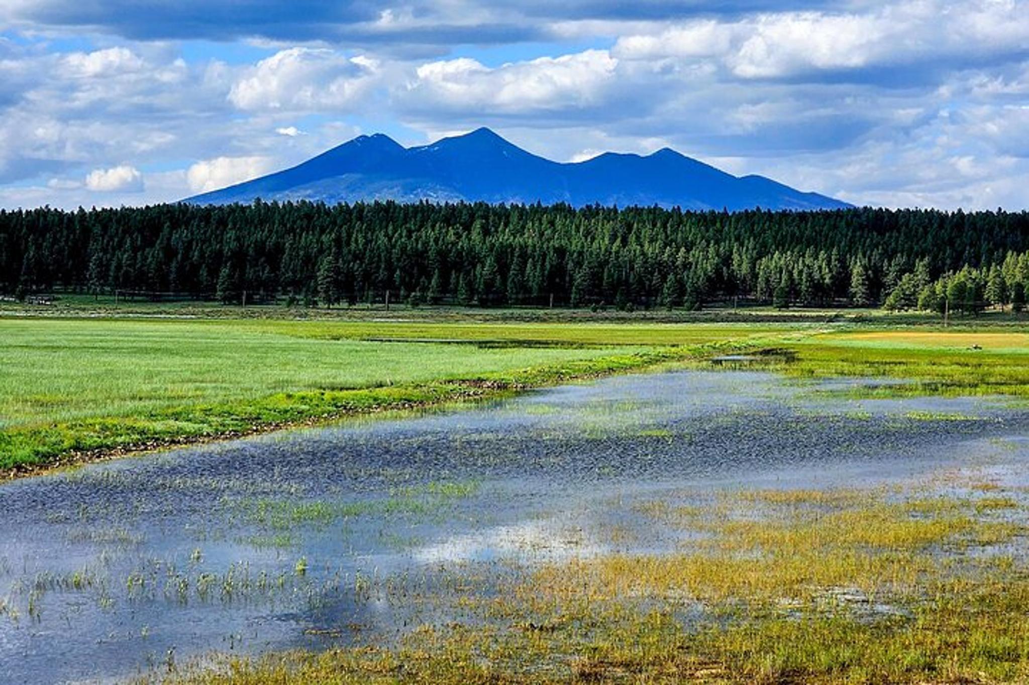 Phoenix Jeep Tour to Sedona Adventure - Image 5