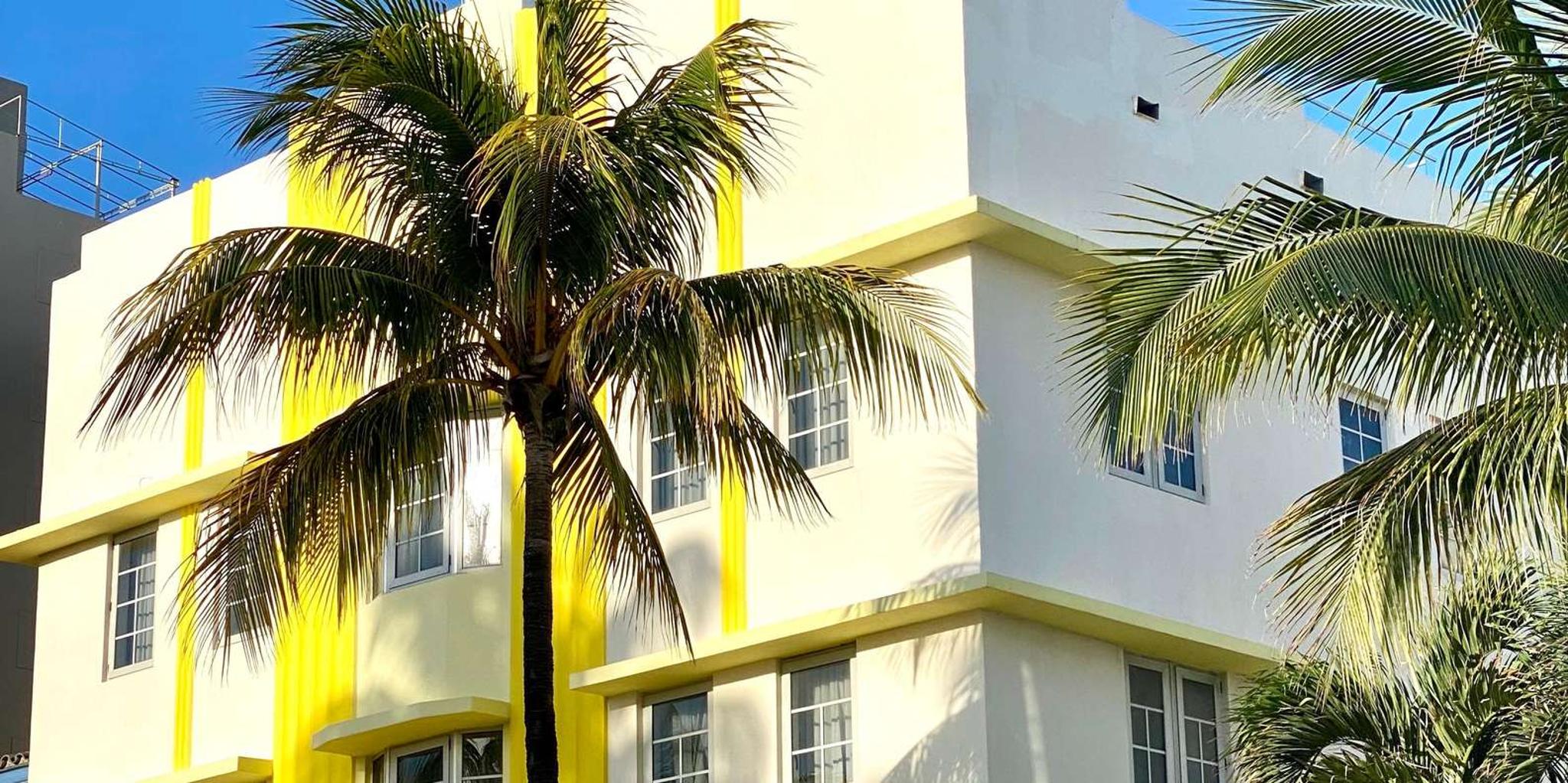 Miami Neighborhoods Walking Tour in French 3.5 hr - Image 5