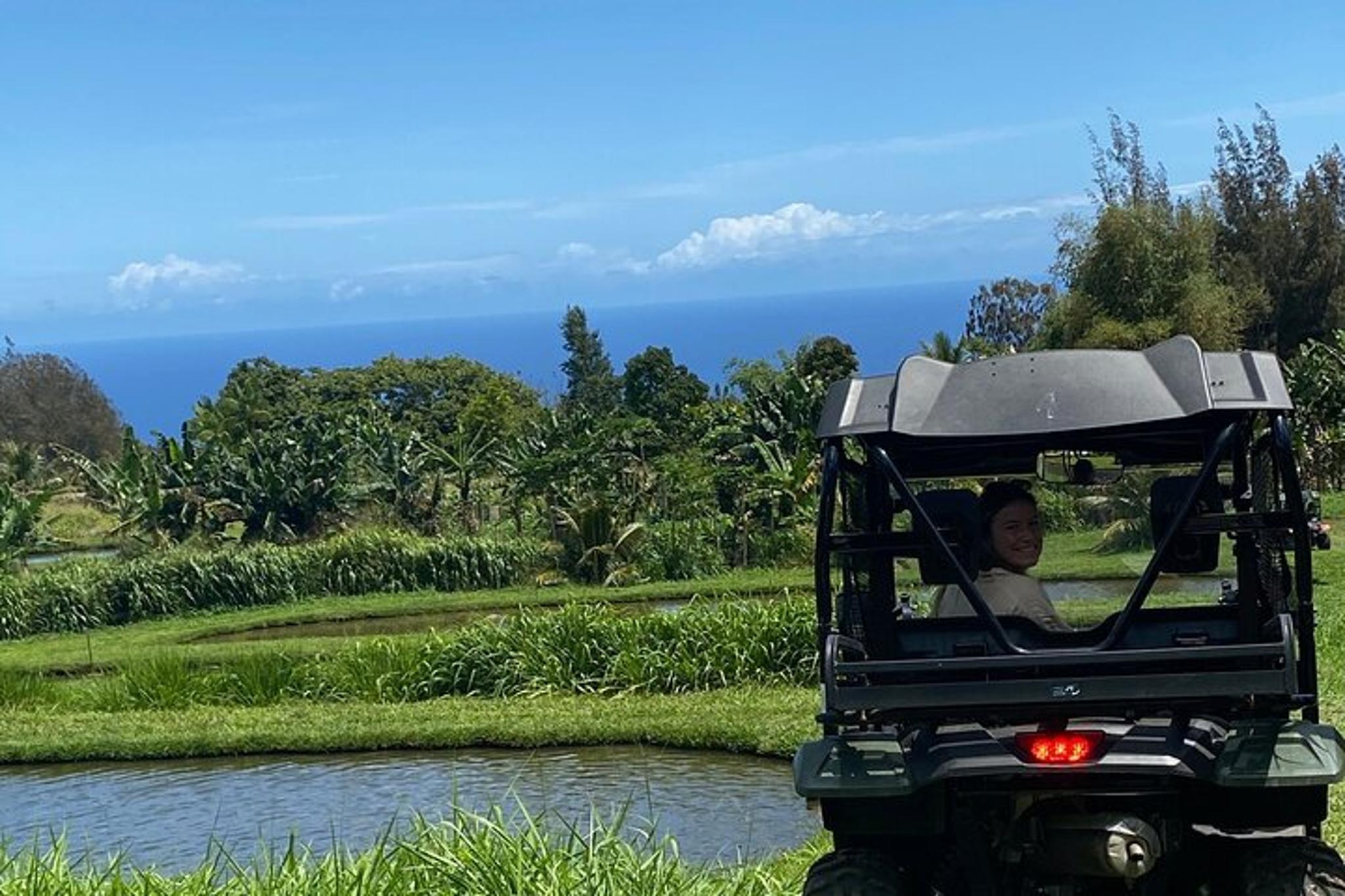 Waipi’o Horseback Tour: Mountain Ocean Views - Image 2