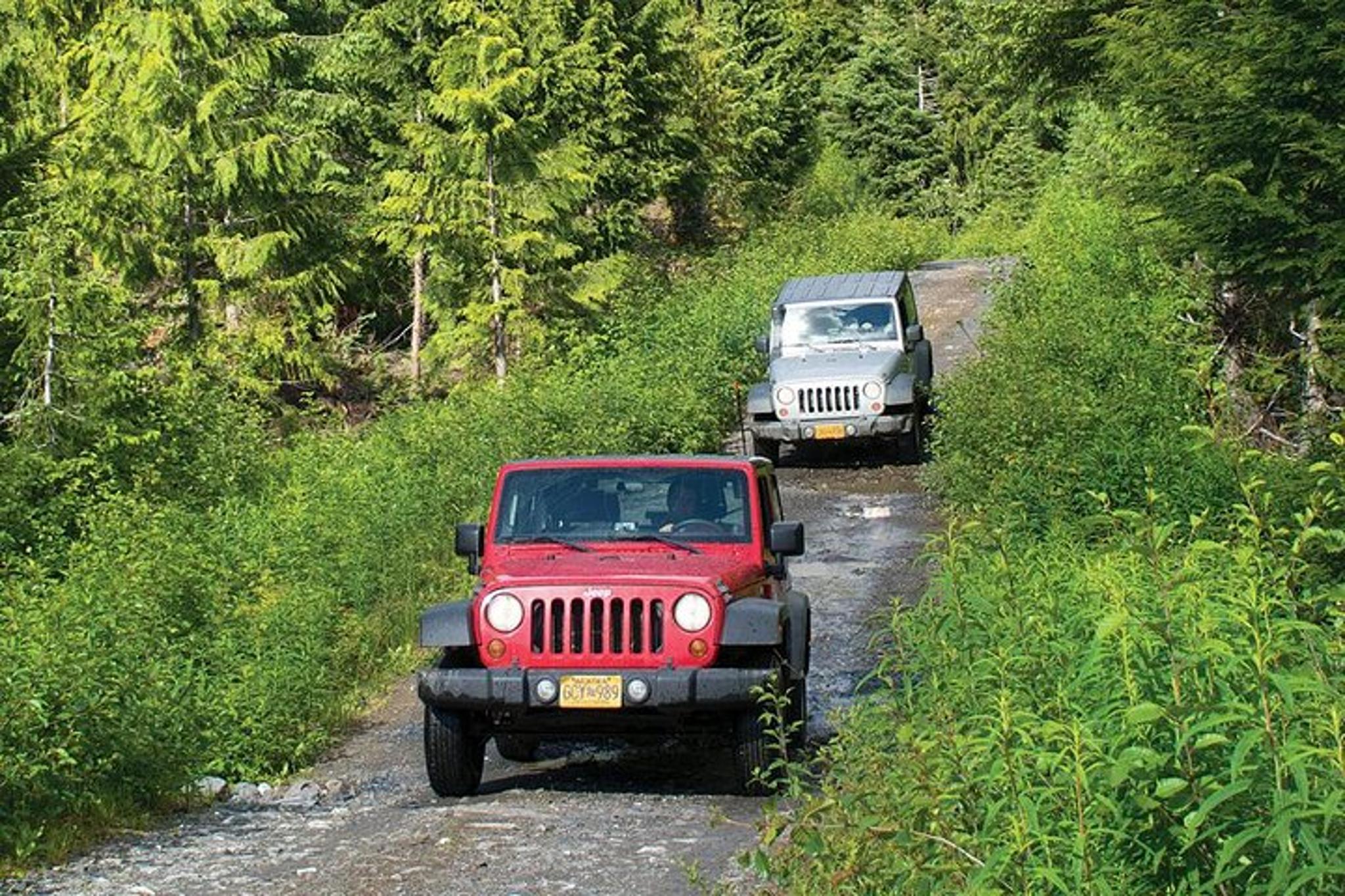 Ketchikan Jeep and Canoe Safari - Image 5