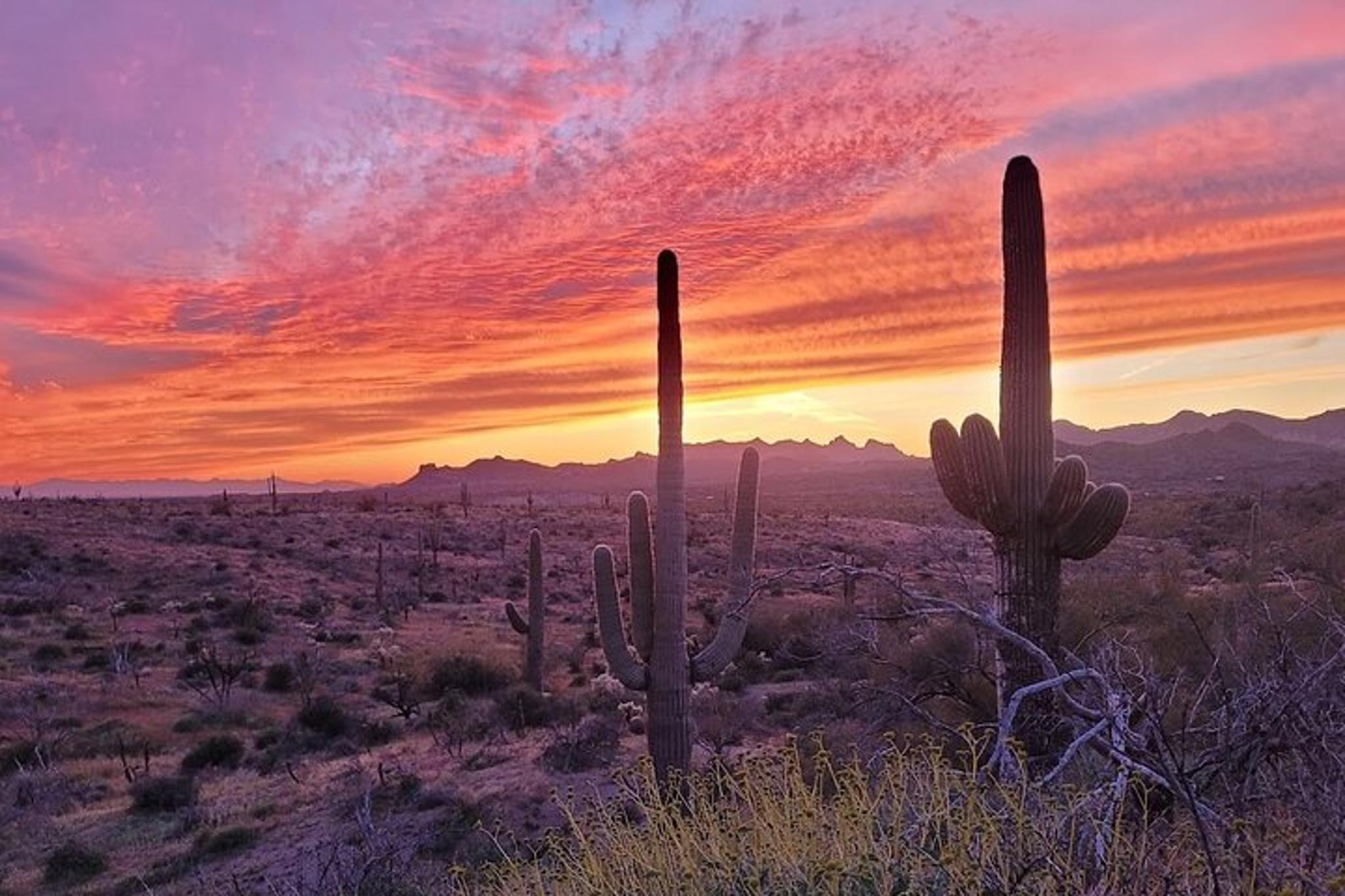 Arizona Desert Night Sky Tour - Image 4