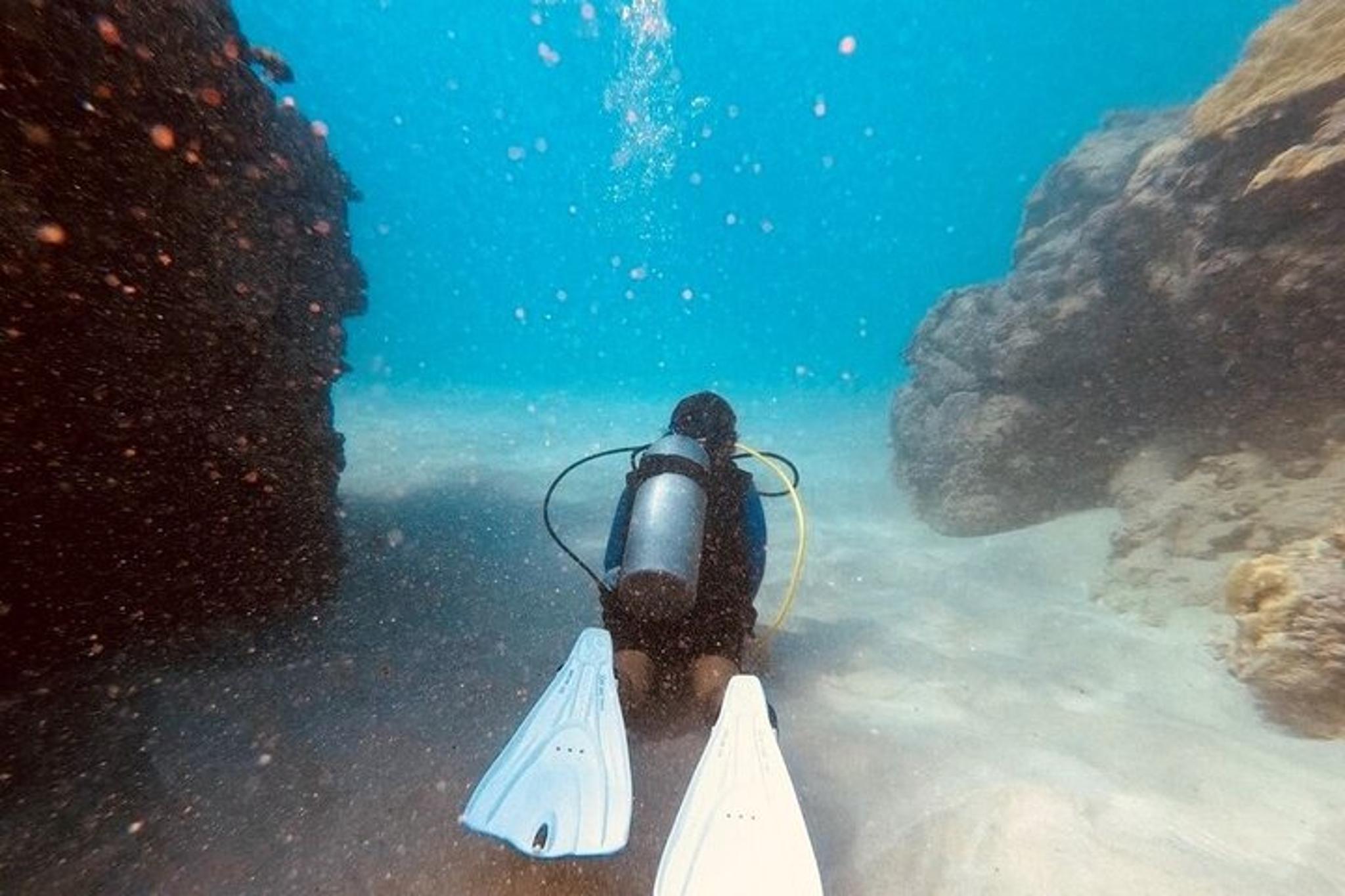 Kona Scuba Diving Experience - Image 4