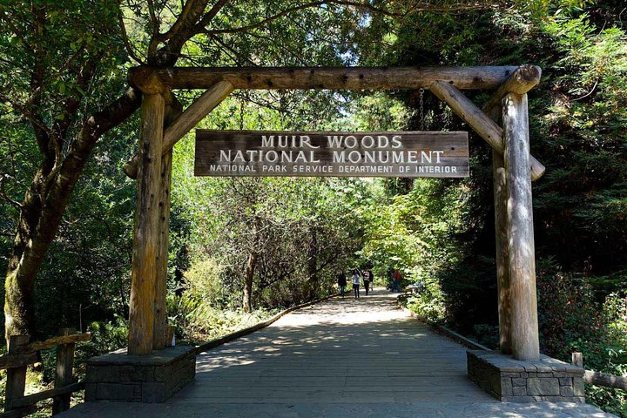 San Francisco Muir Woods and Sausalito Private Tour