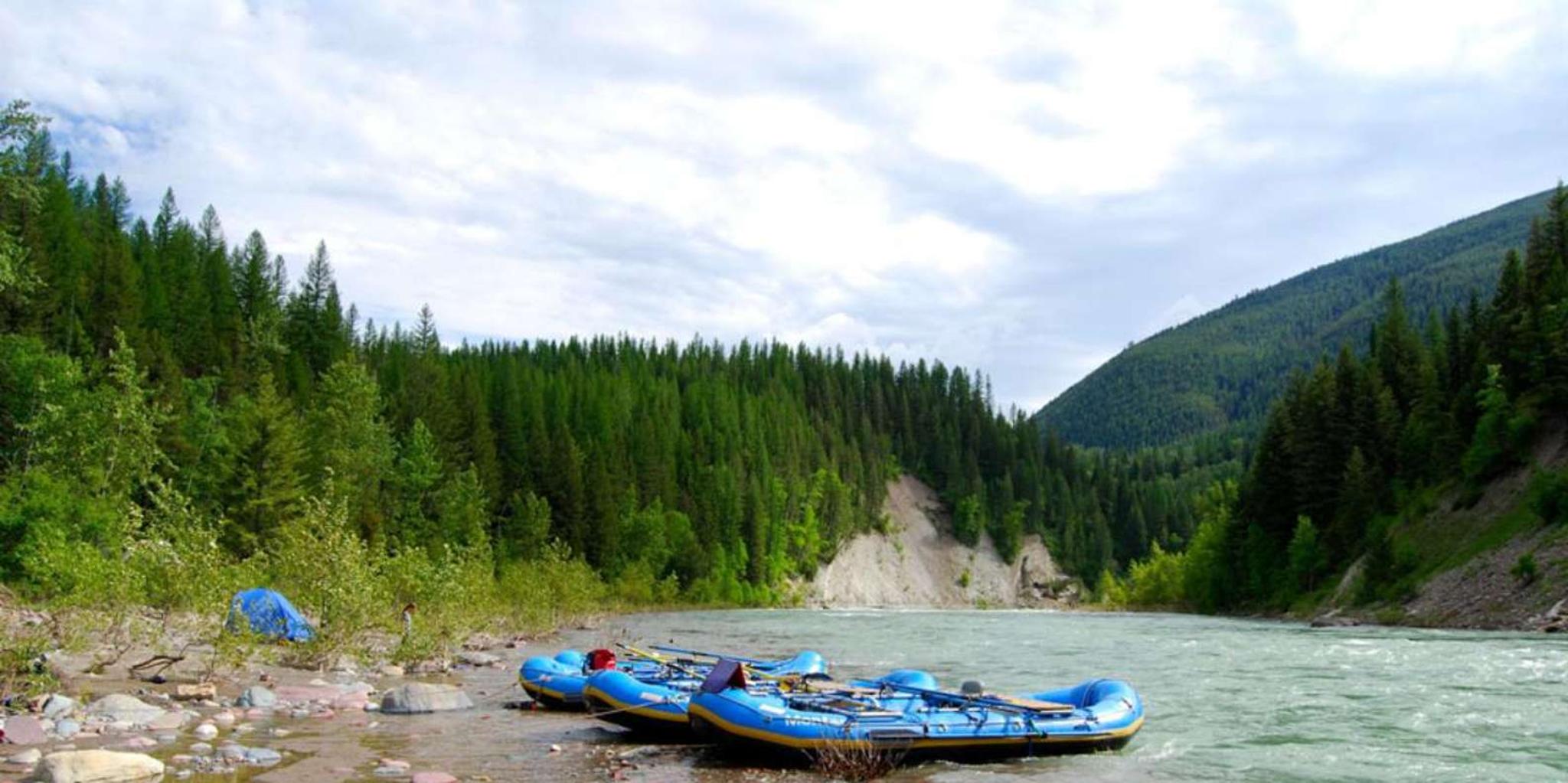West Glacier Scenic Float on the Flathead River - Image 4