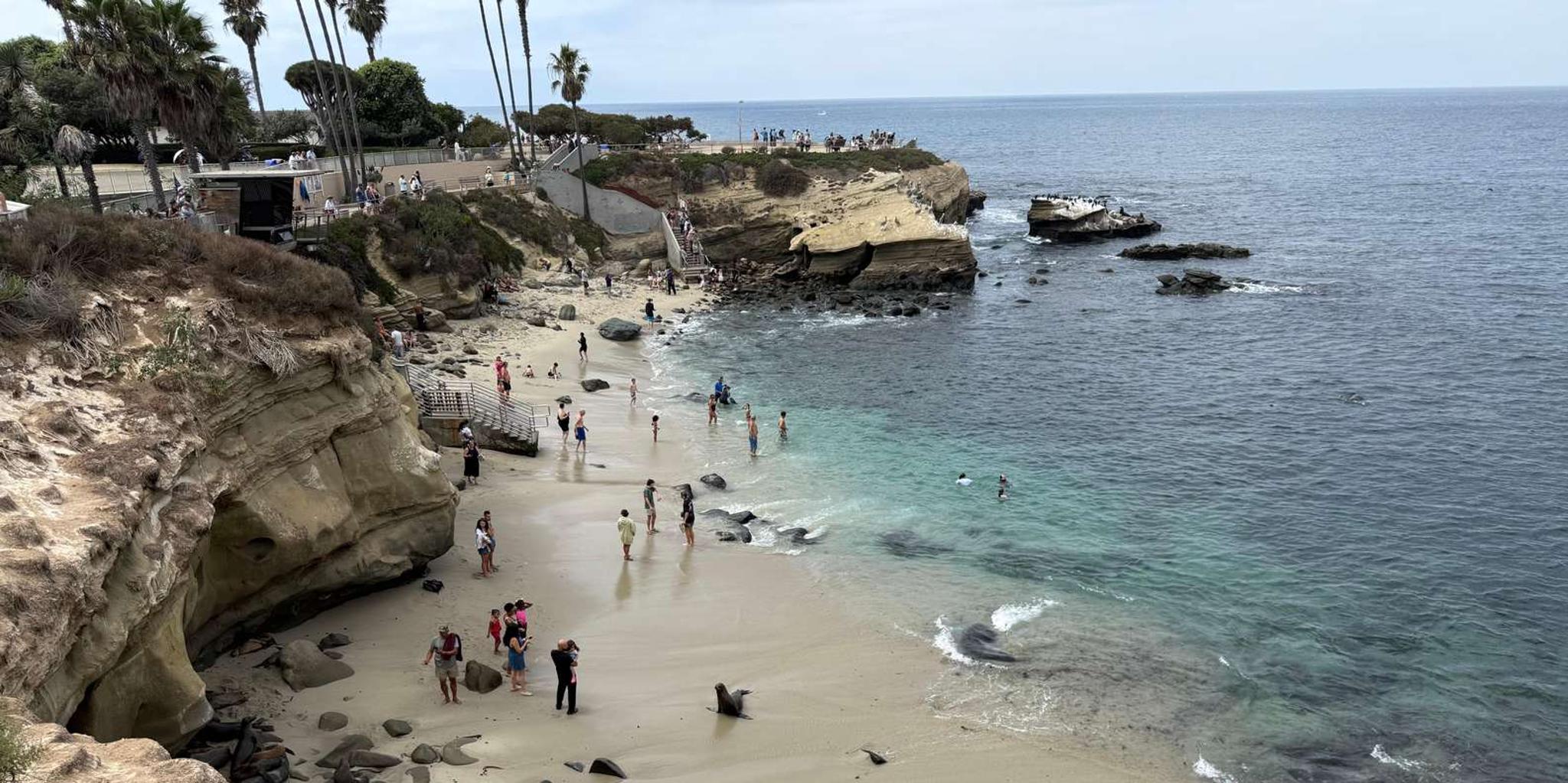 La Jolla Coastal Golf Cart Tour - Image 3