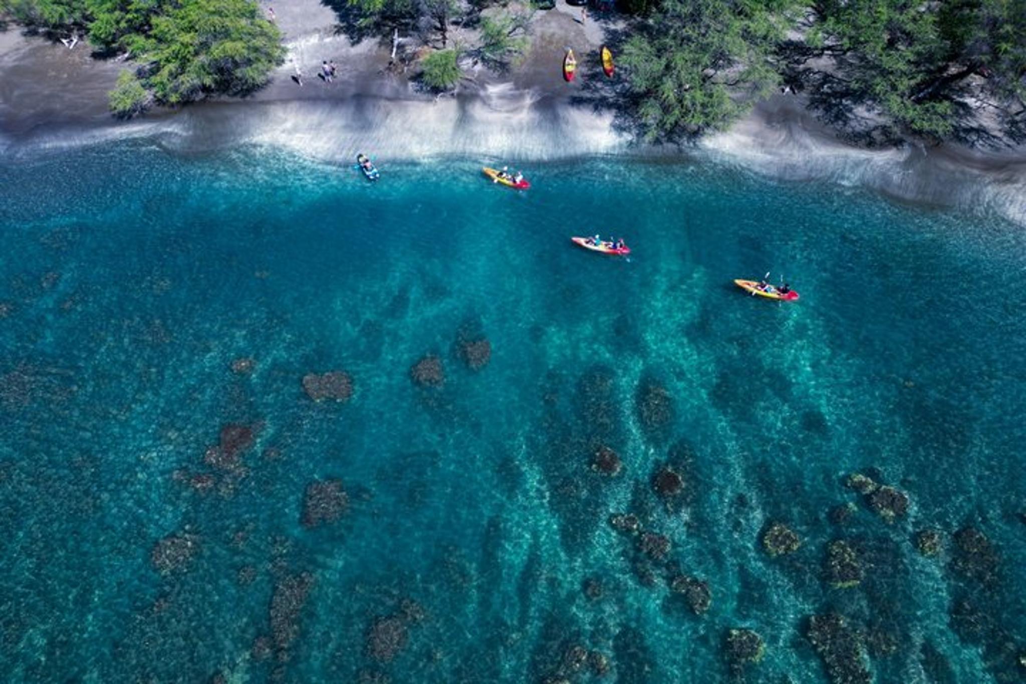 Maui Kayak and Turtle Snorkel Tour - Image 6