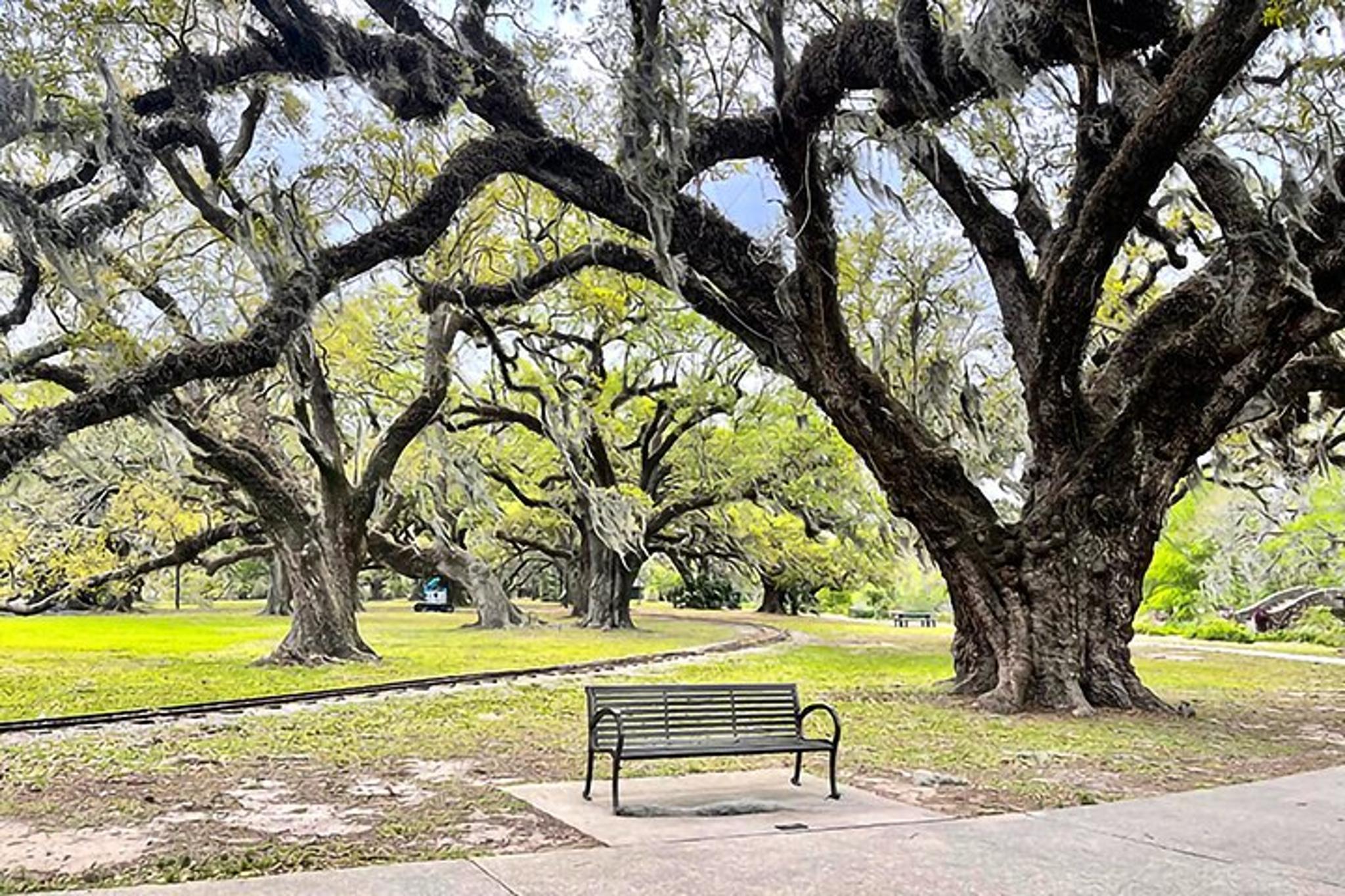 New Orleans Driving Tour with Bayou St. John - Image 3