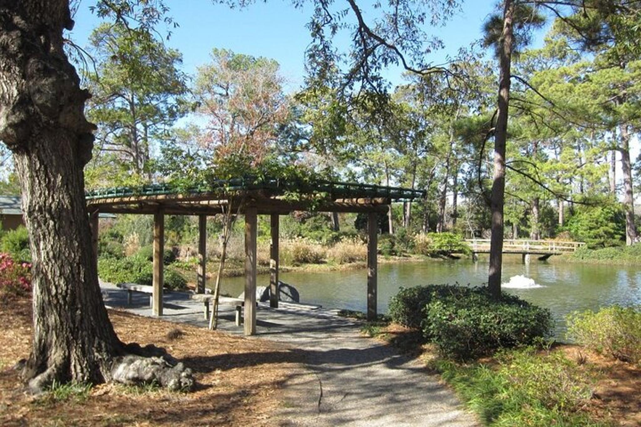 Houston Museum District Scavenger Hunt - Image 6