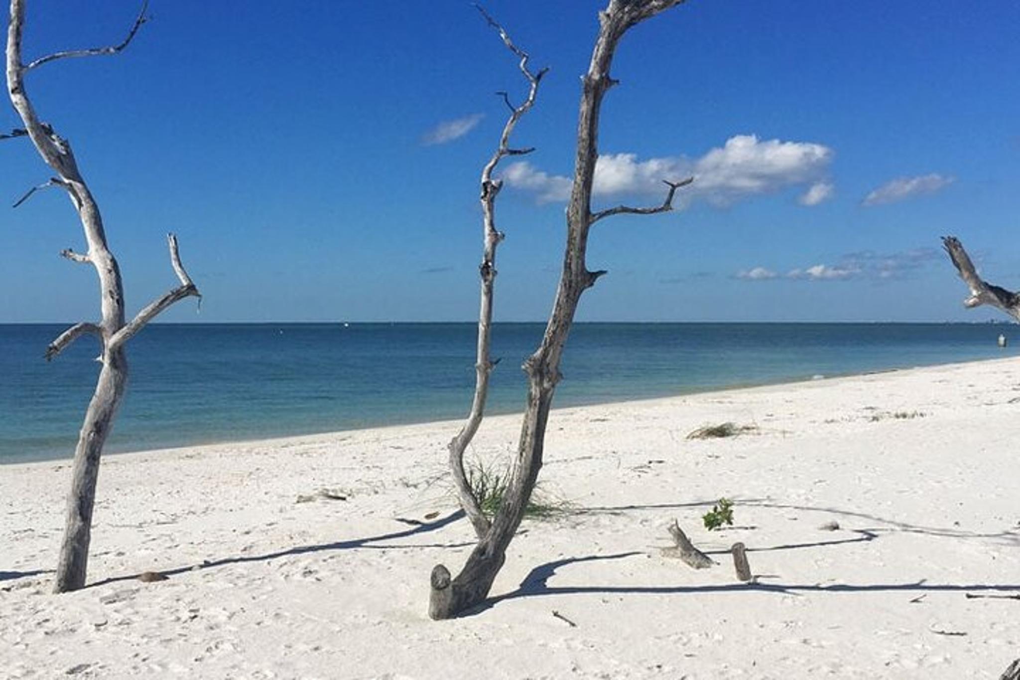 Everglades Shell Wildlife Eco Excursion - Image 1