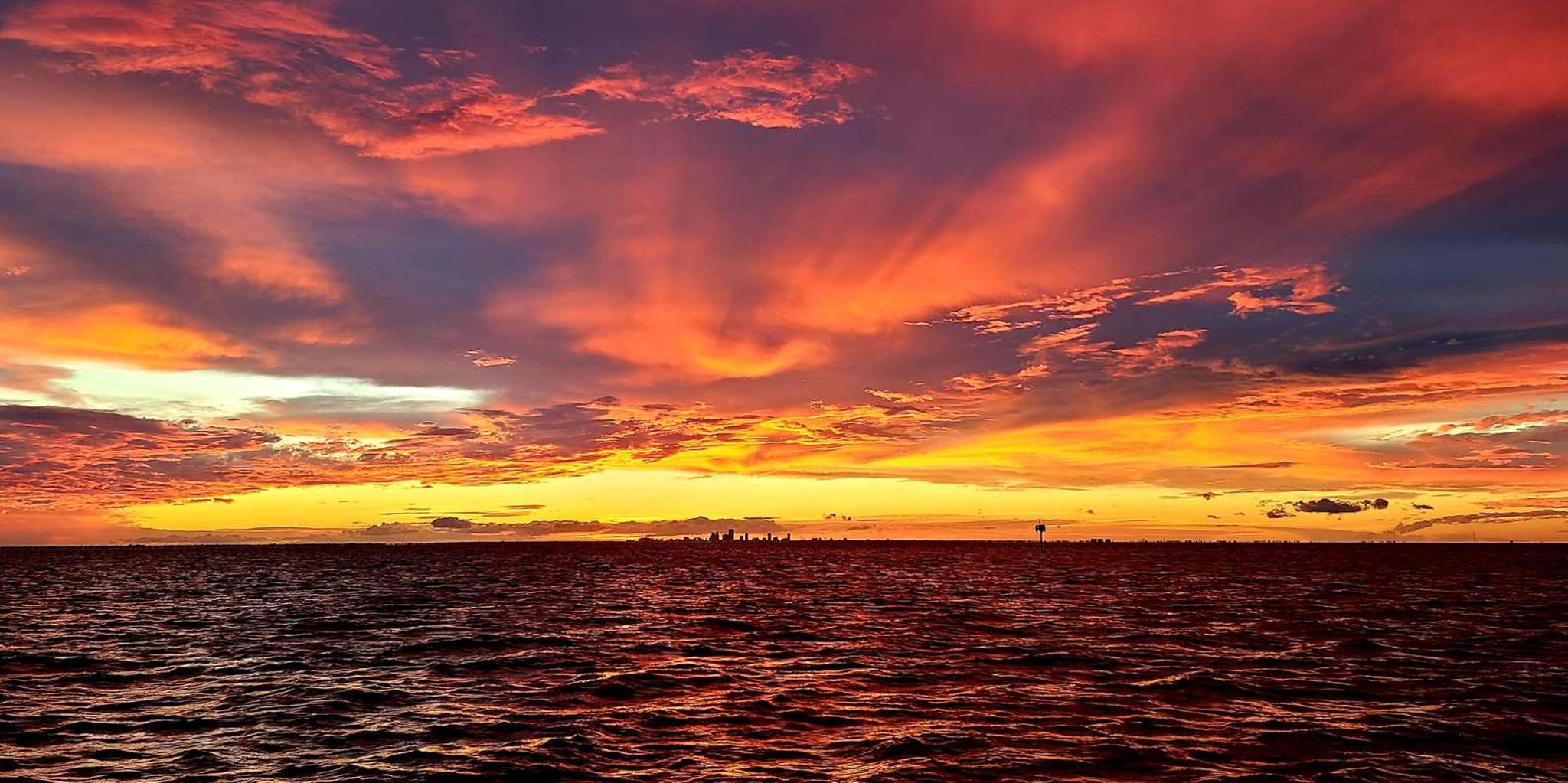 Tampa Bay Sunset Eco Adventure Cruise